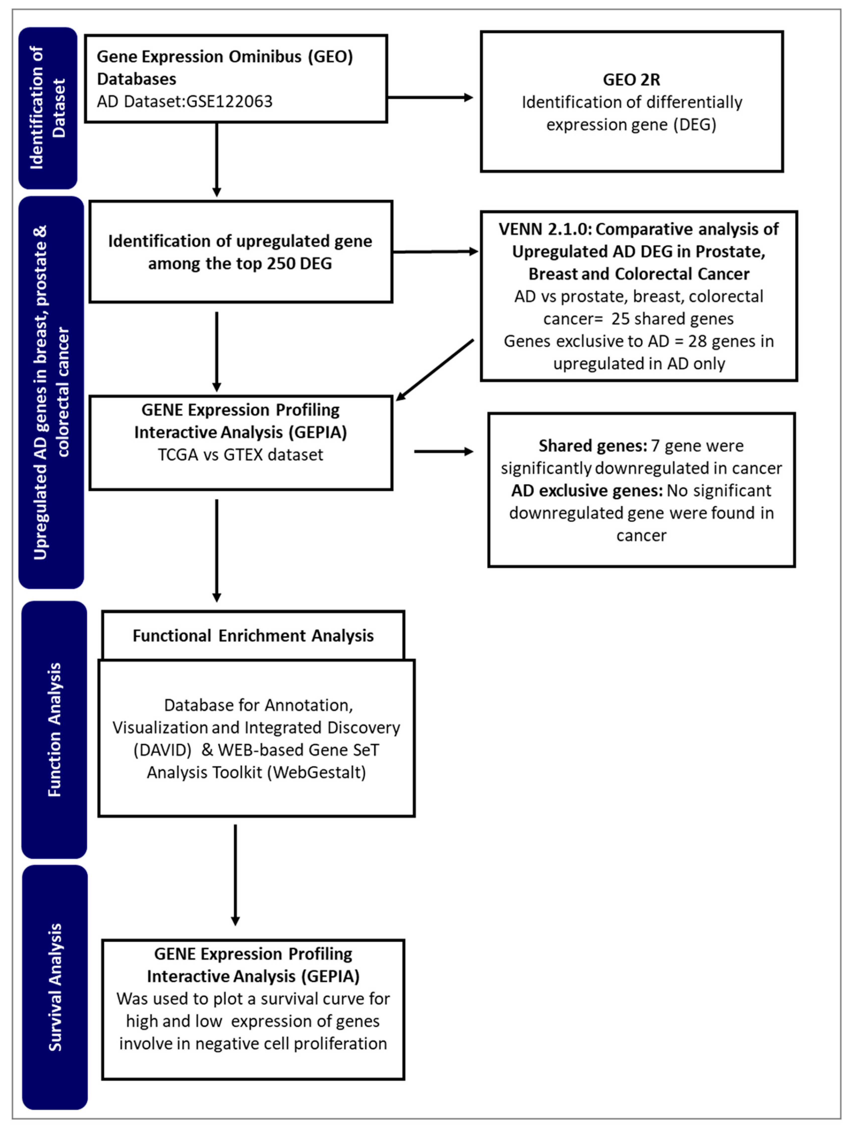 Preprints 92574 g001