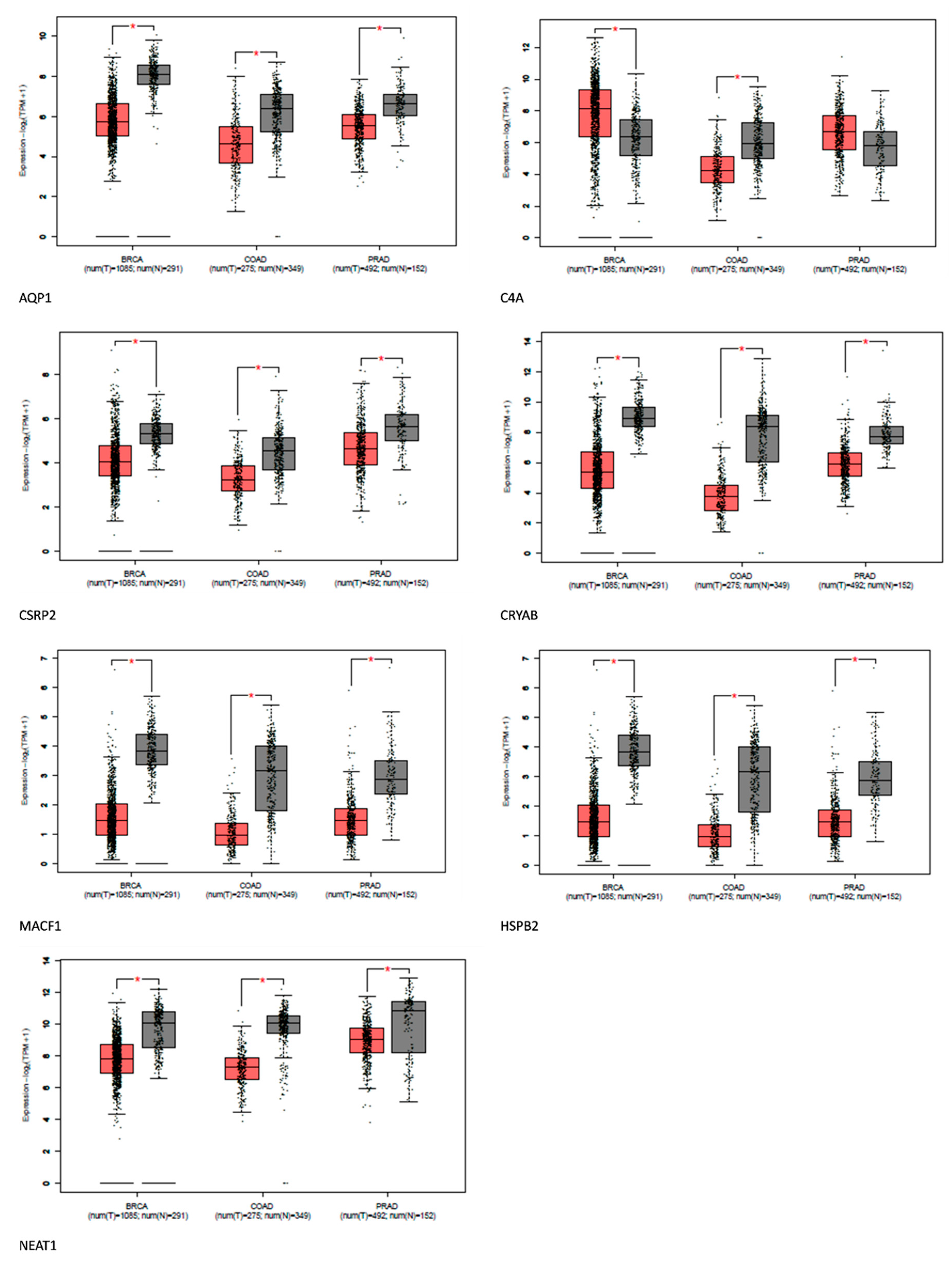 Preprints 92574 g005