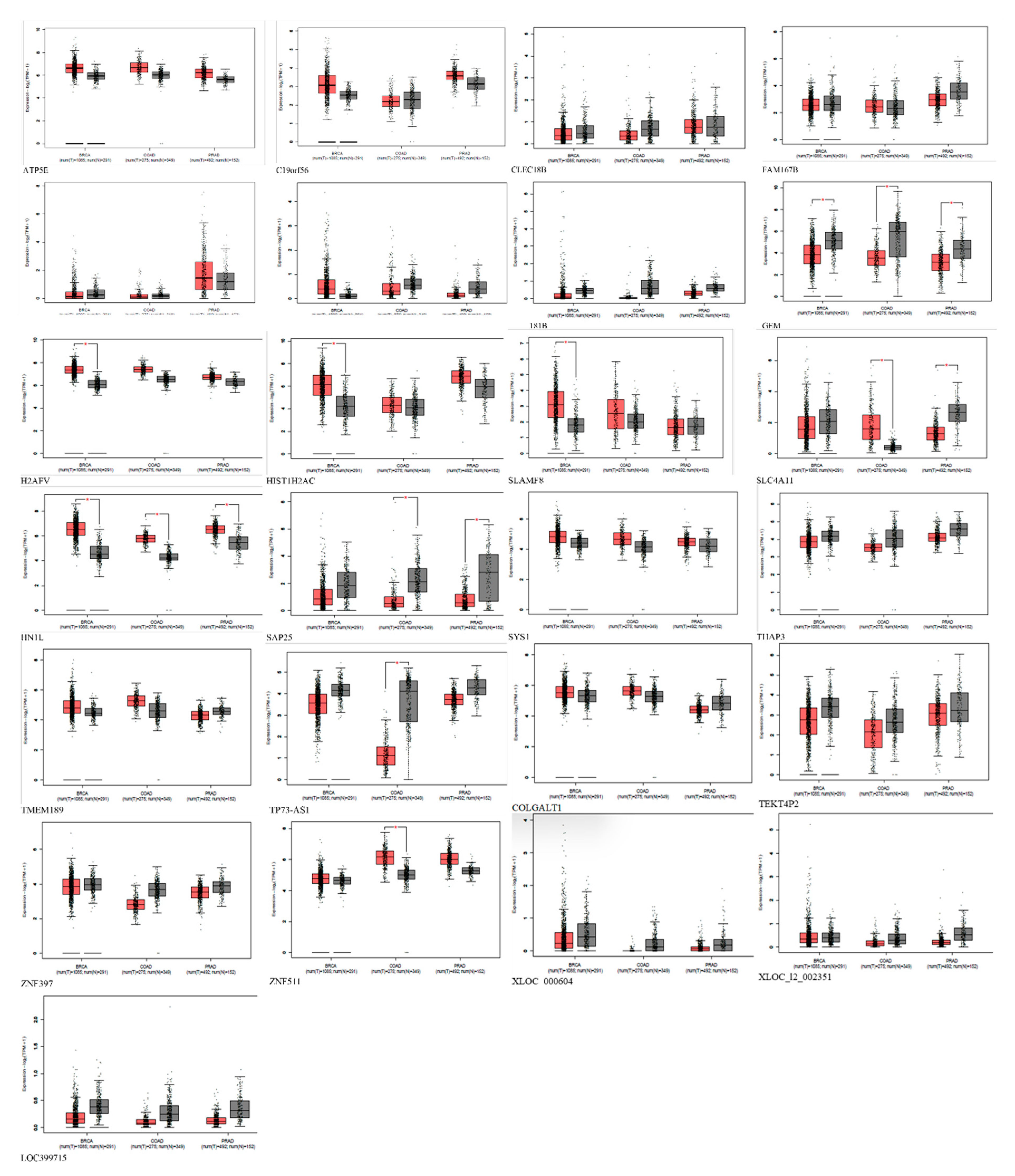 Preprints 92574 g006