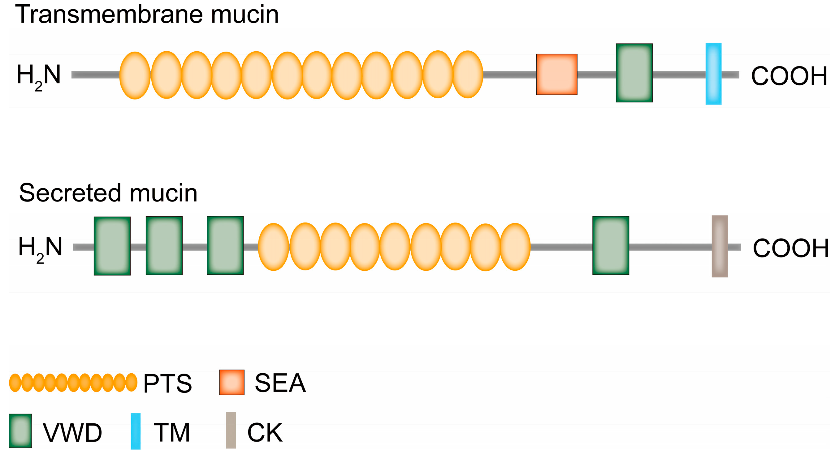 Preprints 85322 g001