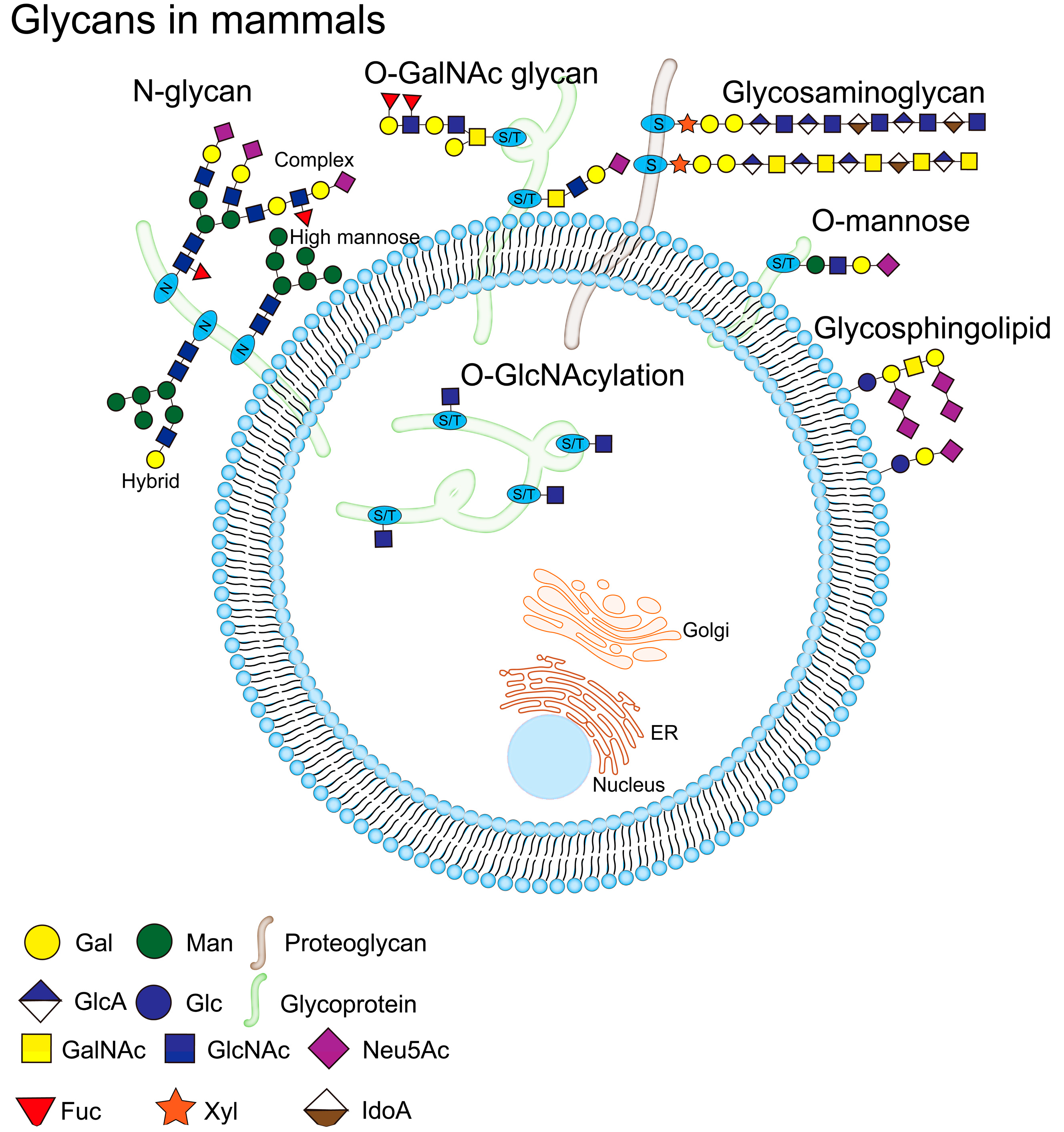 Preprints 85322 g003