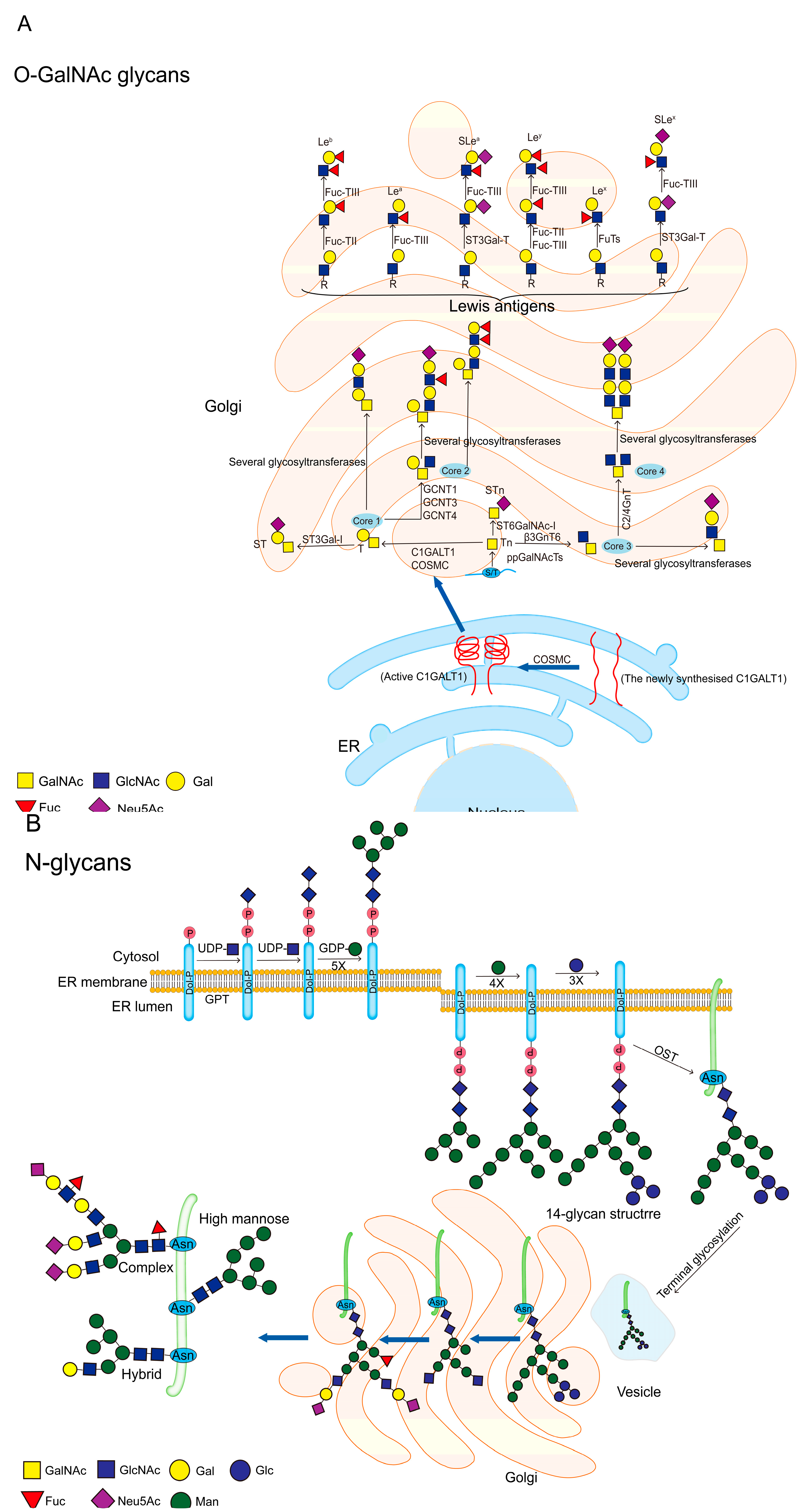 Preprints 85322 g004