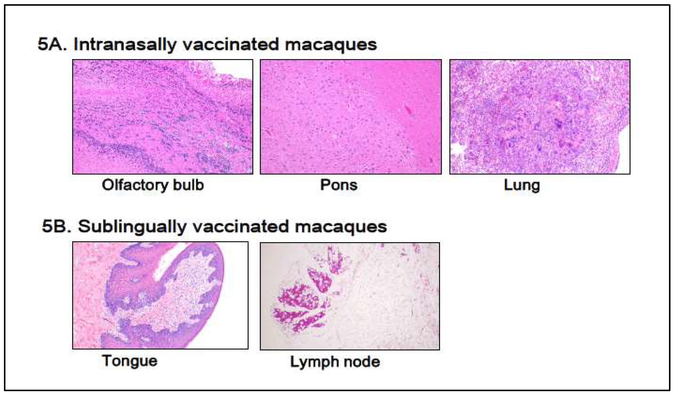 Preprints 119586 g005