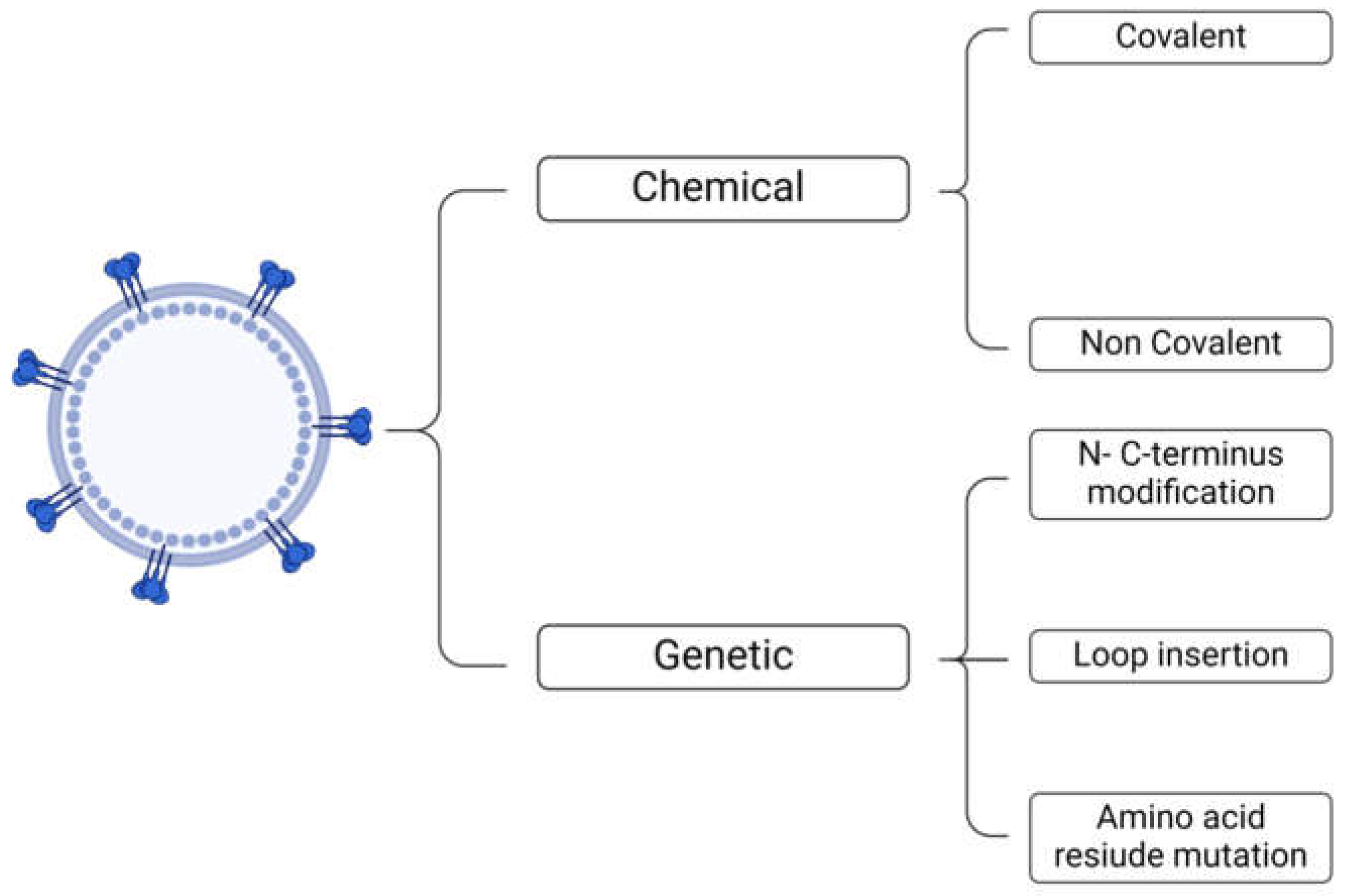 Preprints 103719 g004