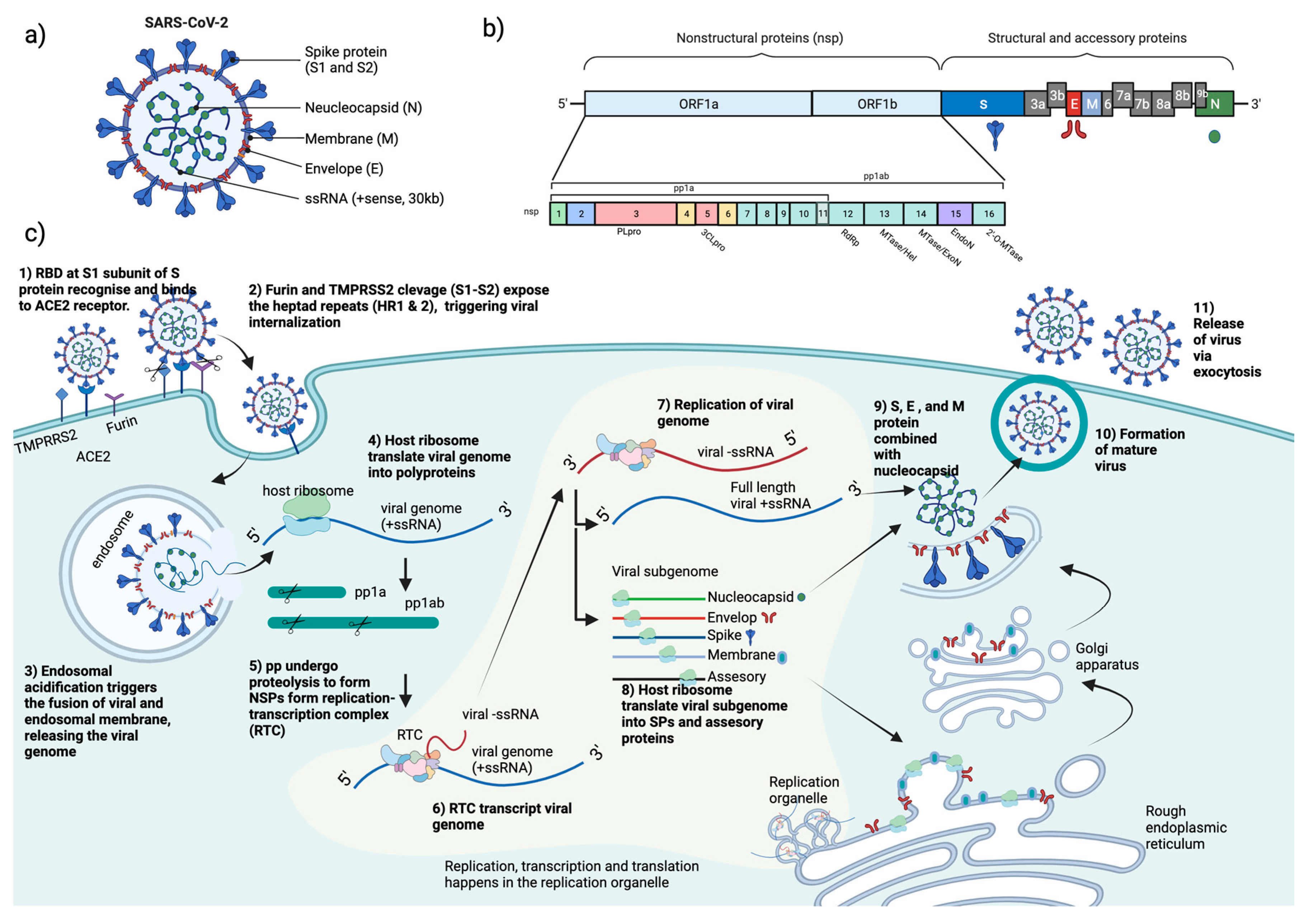 Preprints 72934 g001