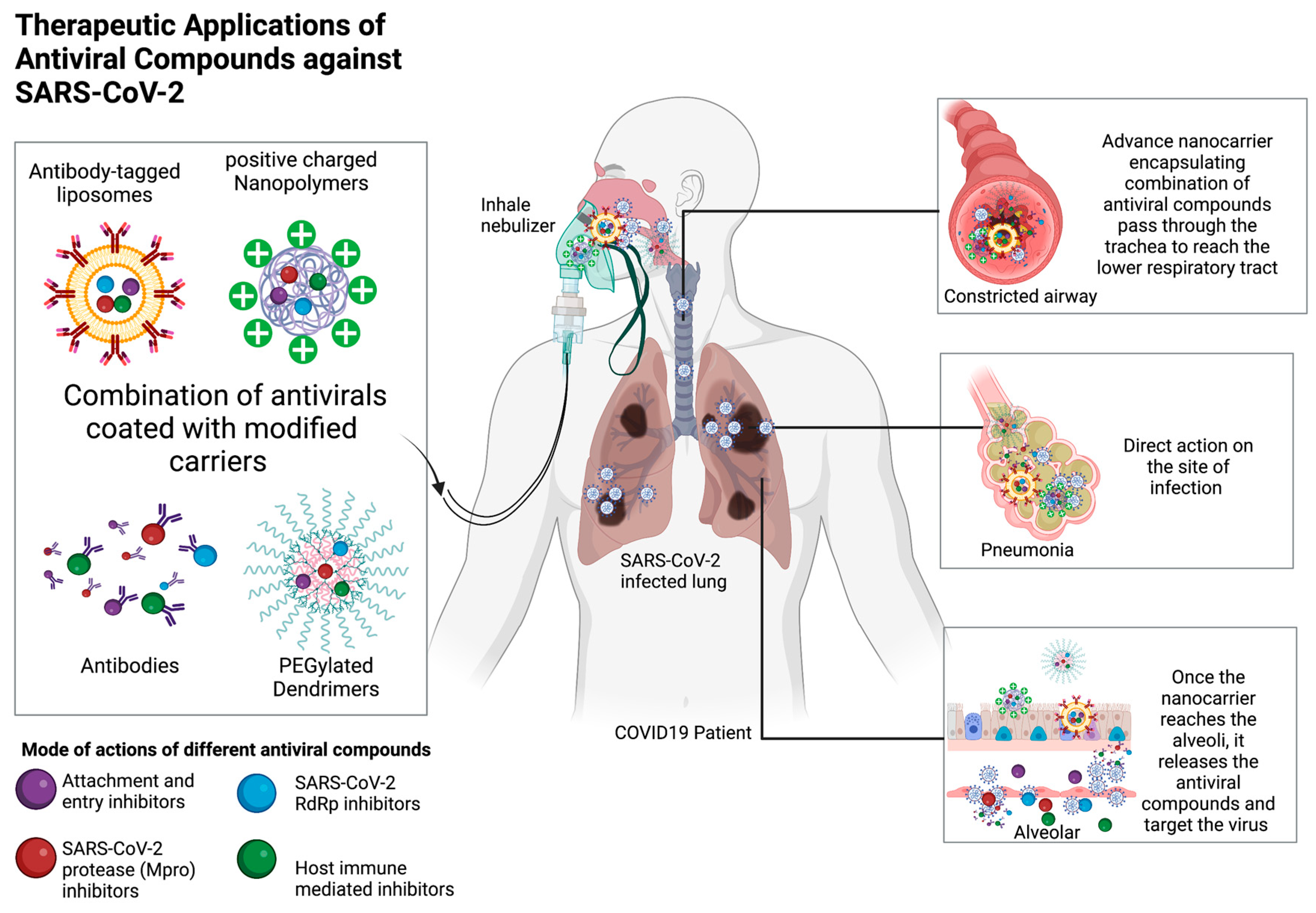 Preprints 72934 g003