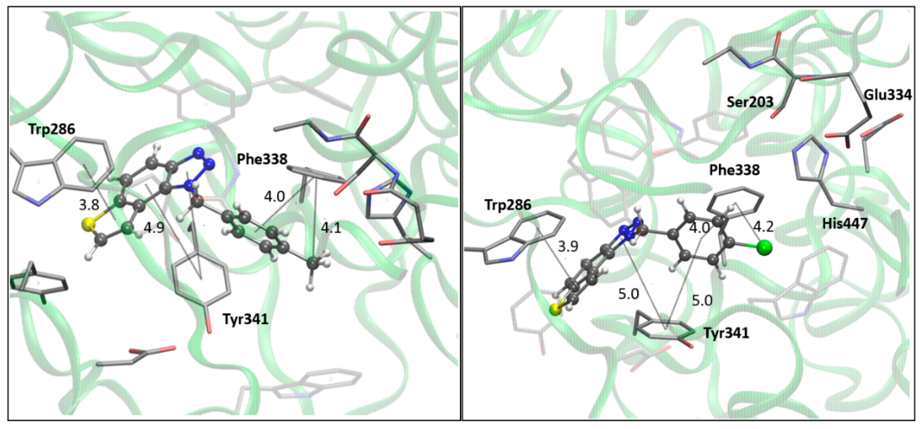 Preprints 120048 g005