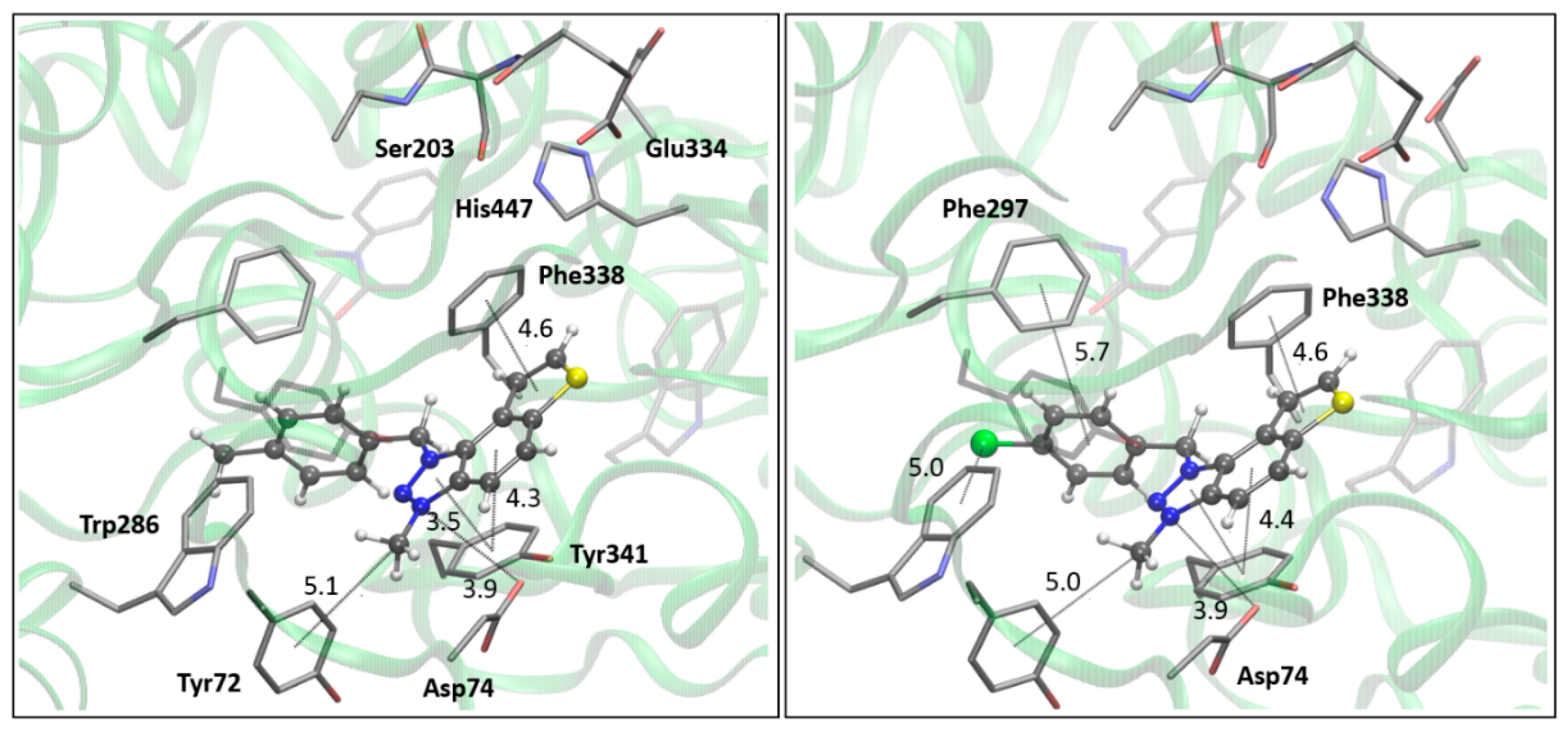 Preprints 120048 g006