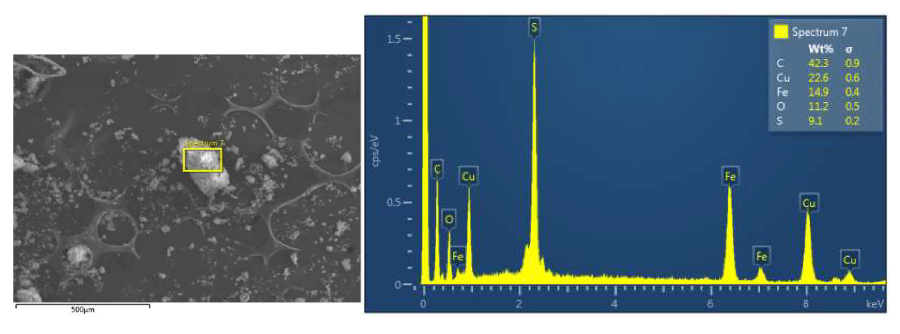 Preprints 120155 g004