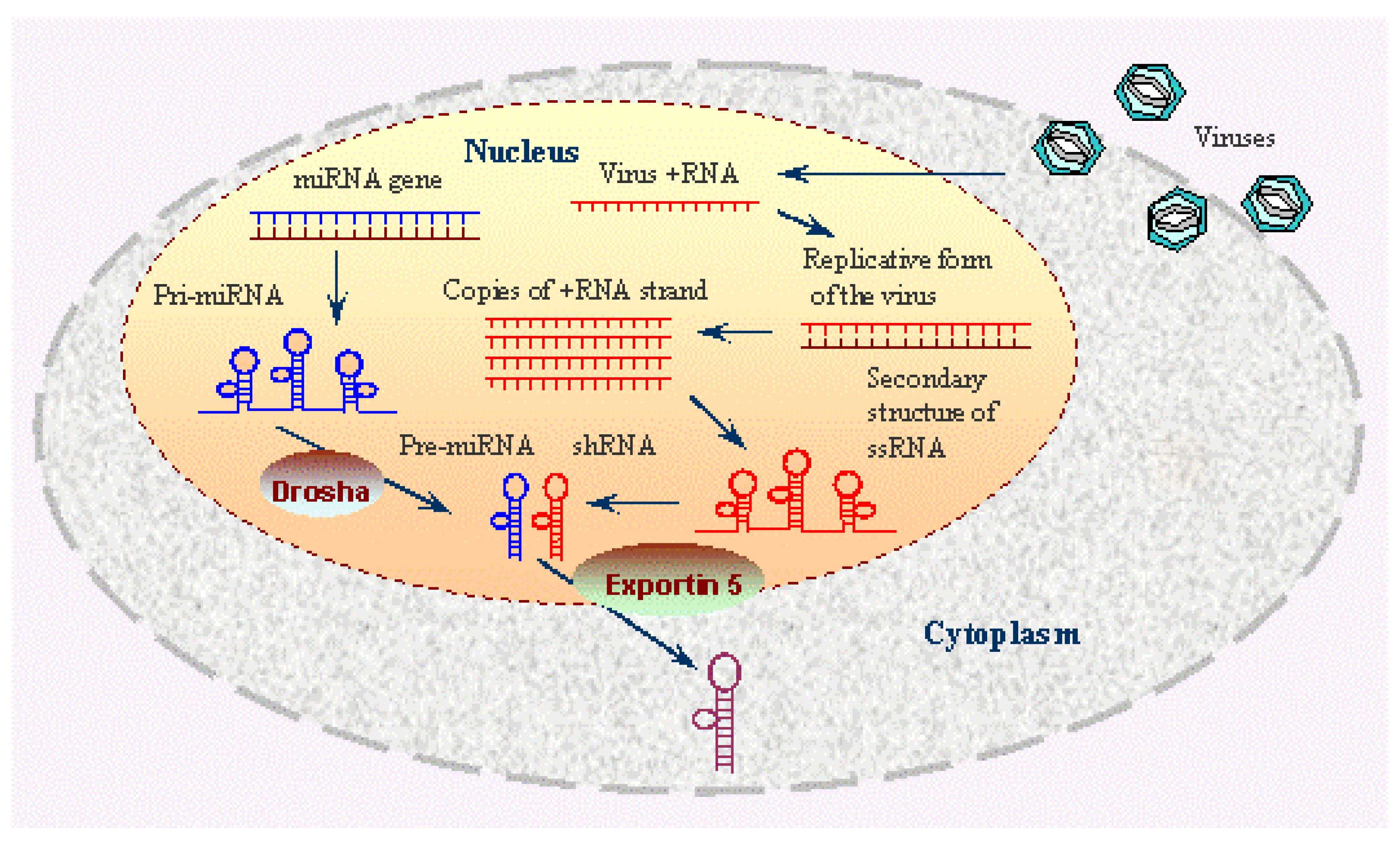 Preprints 113810 g001