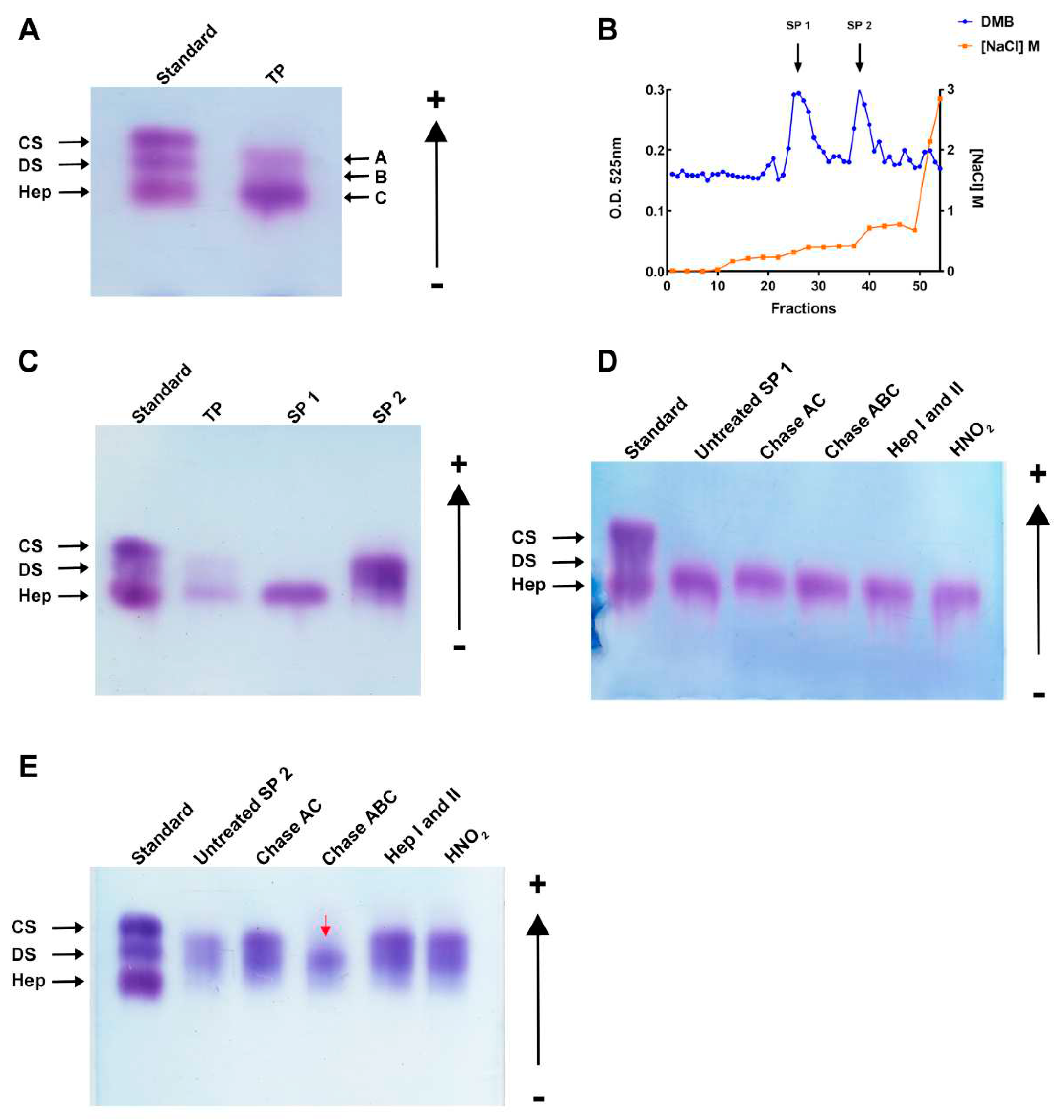 Preprints 81171 g002