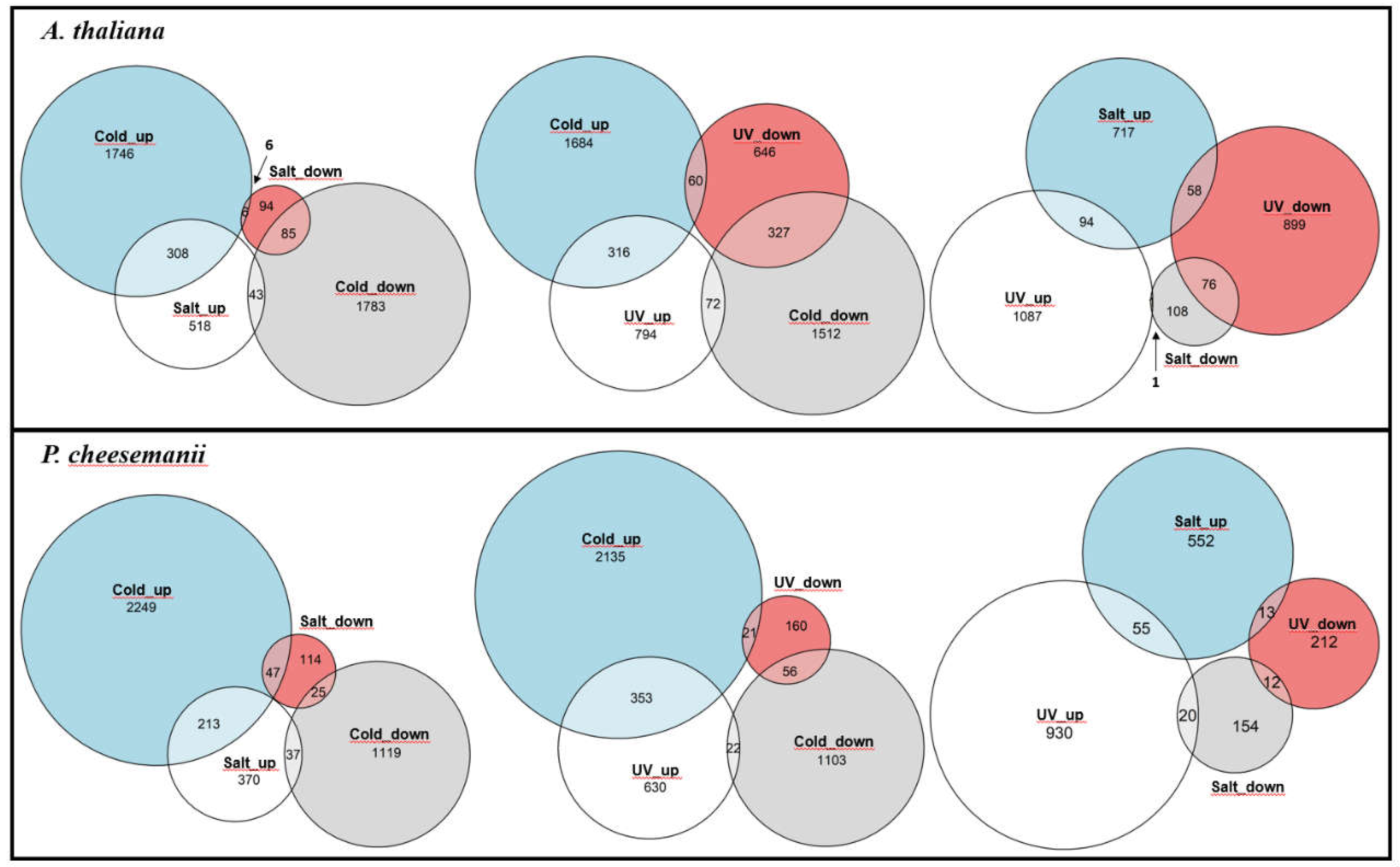 Preprints 74197 g002