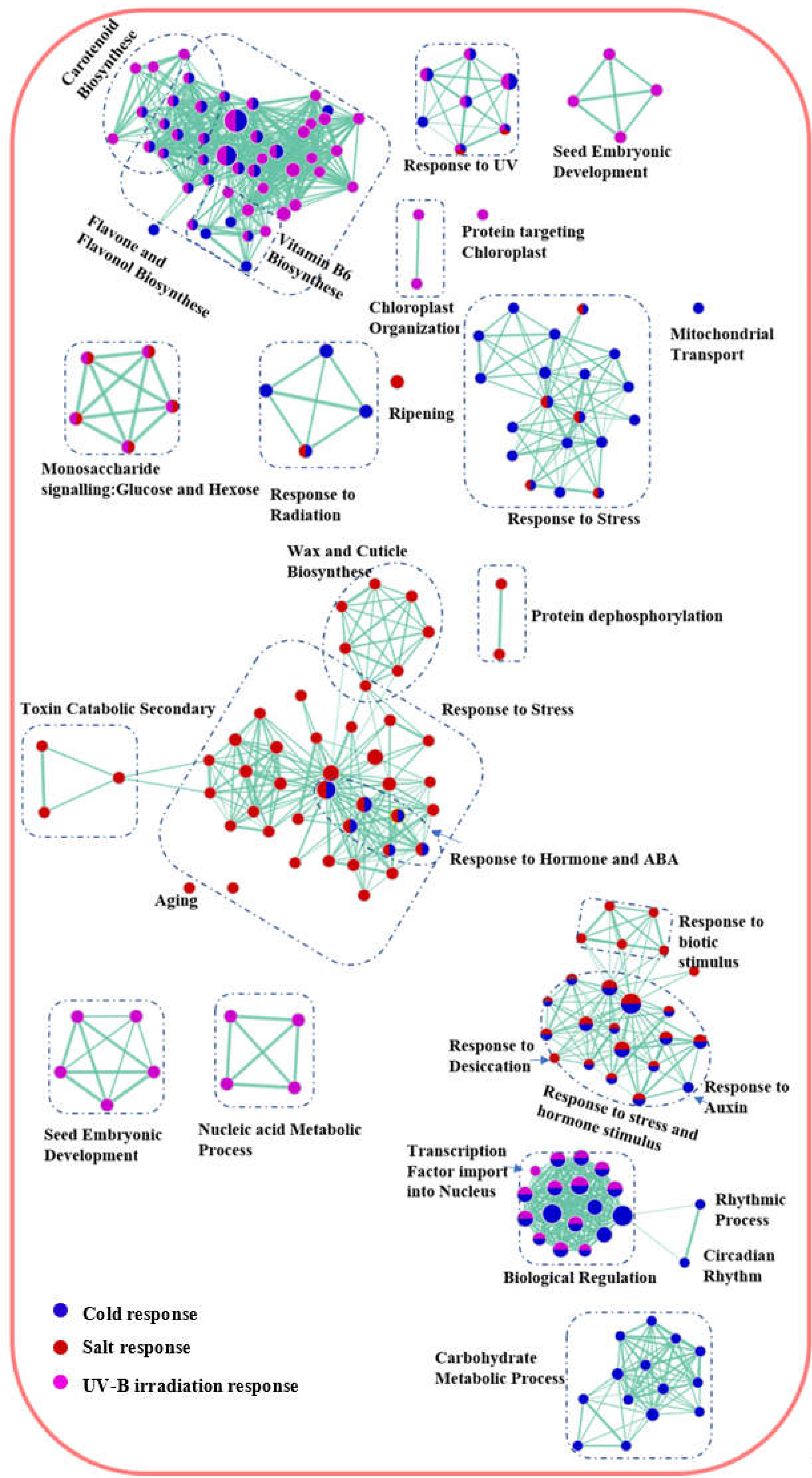 Preprints 74197 g004