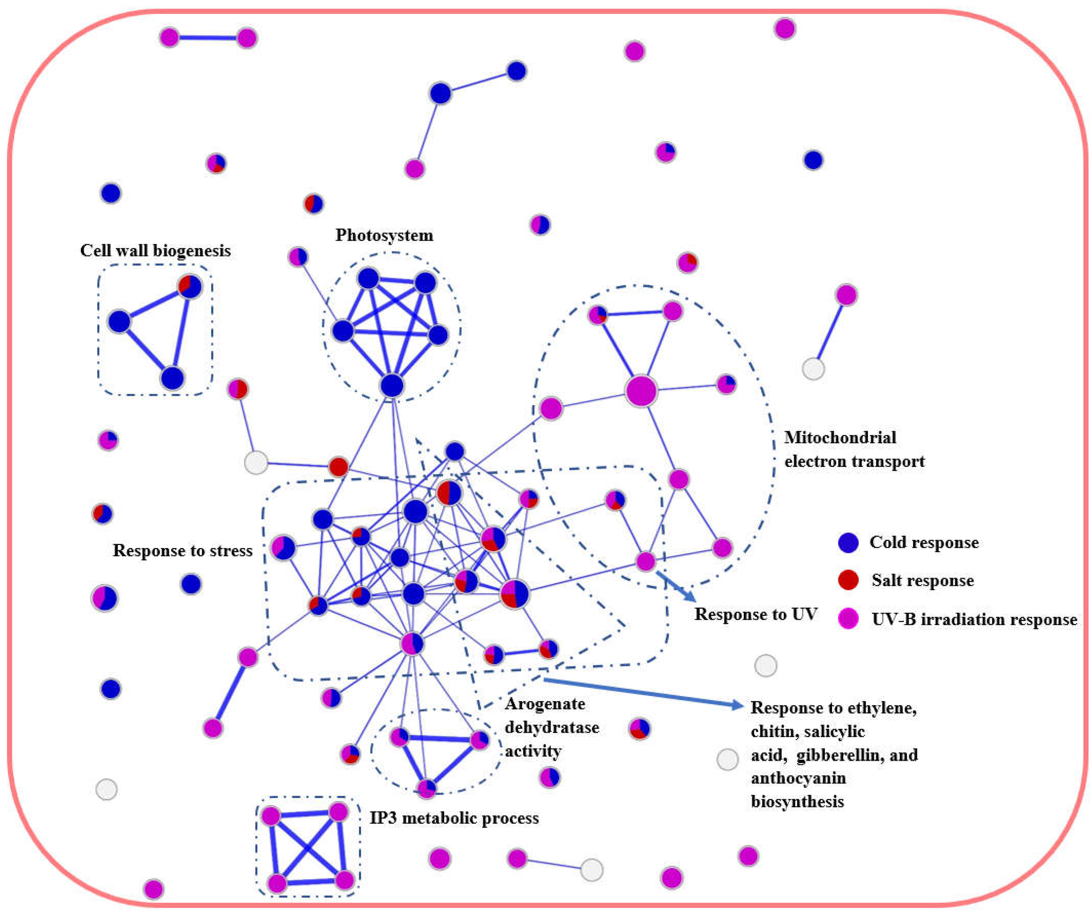 Preprints 74197 g005