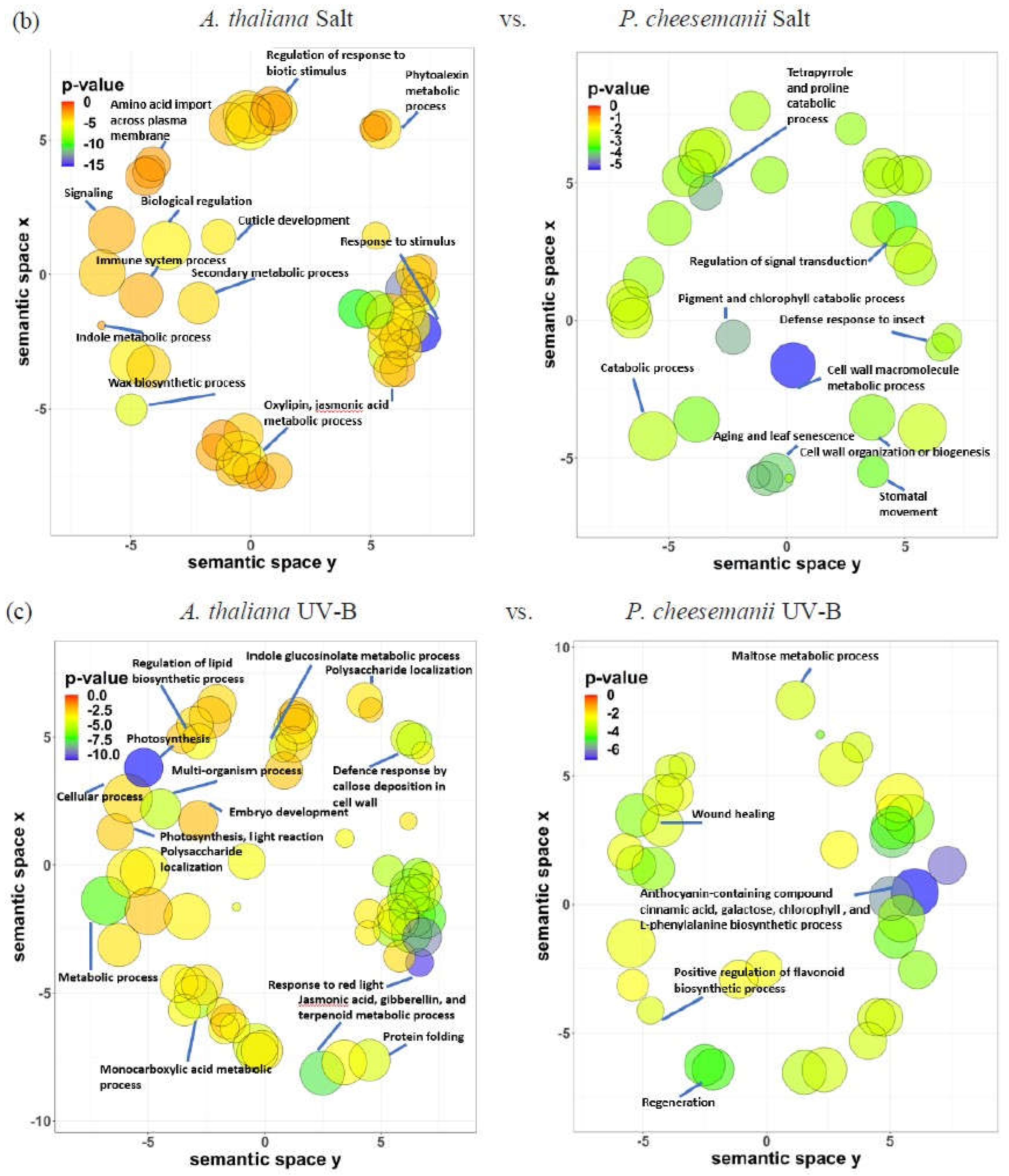 Preprints 74197 g008b