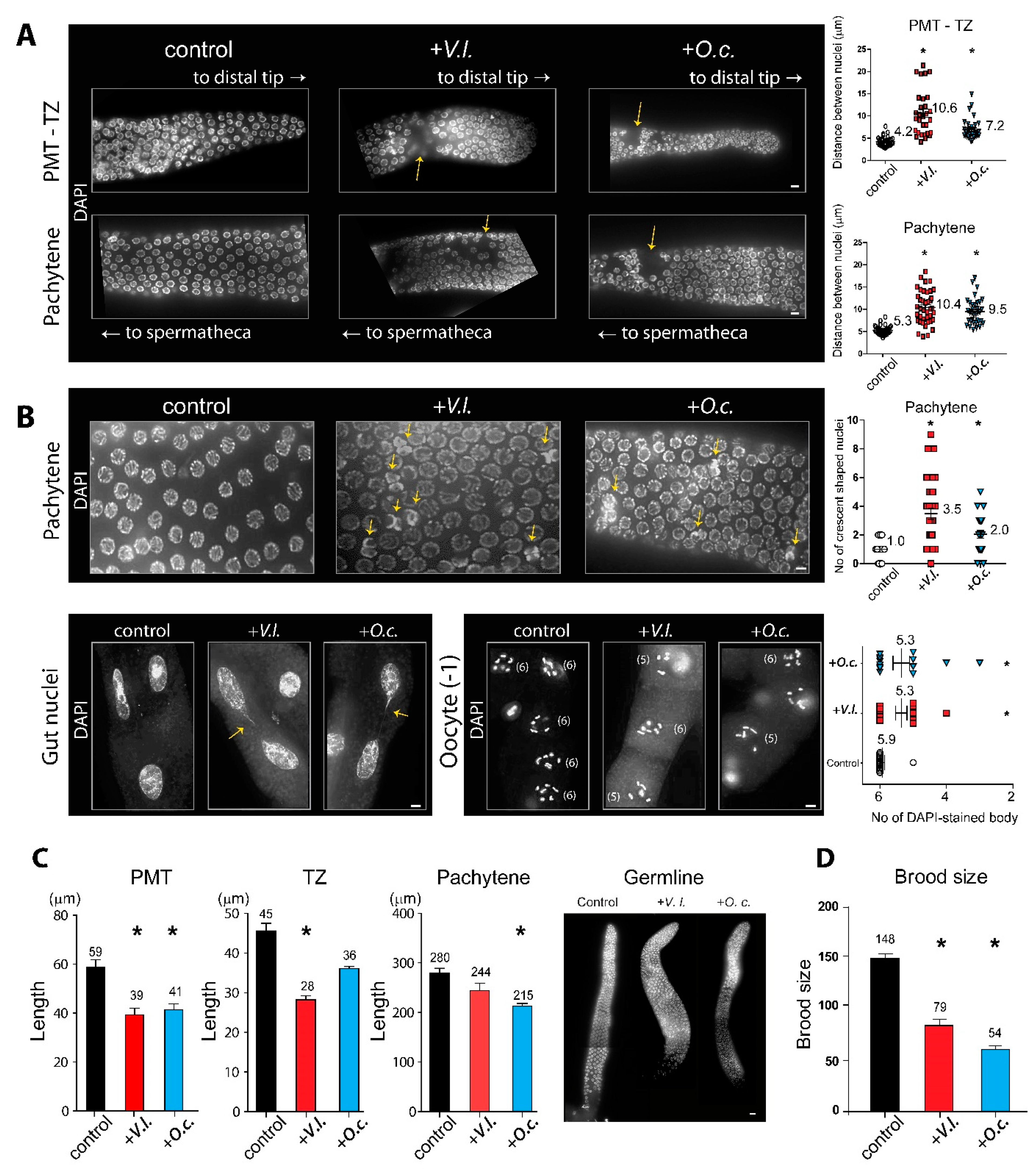 Preprints 92097 g002