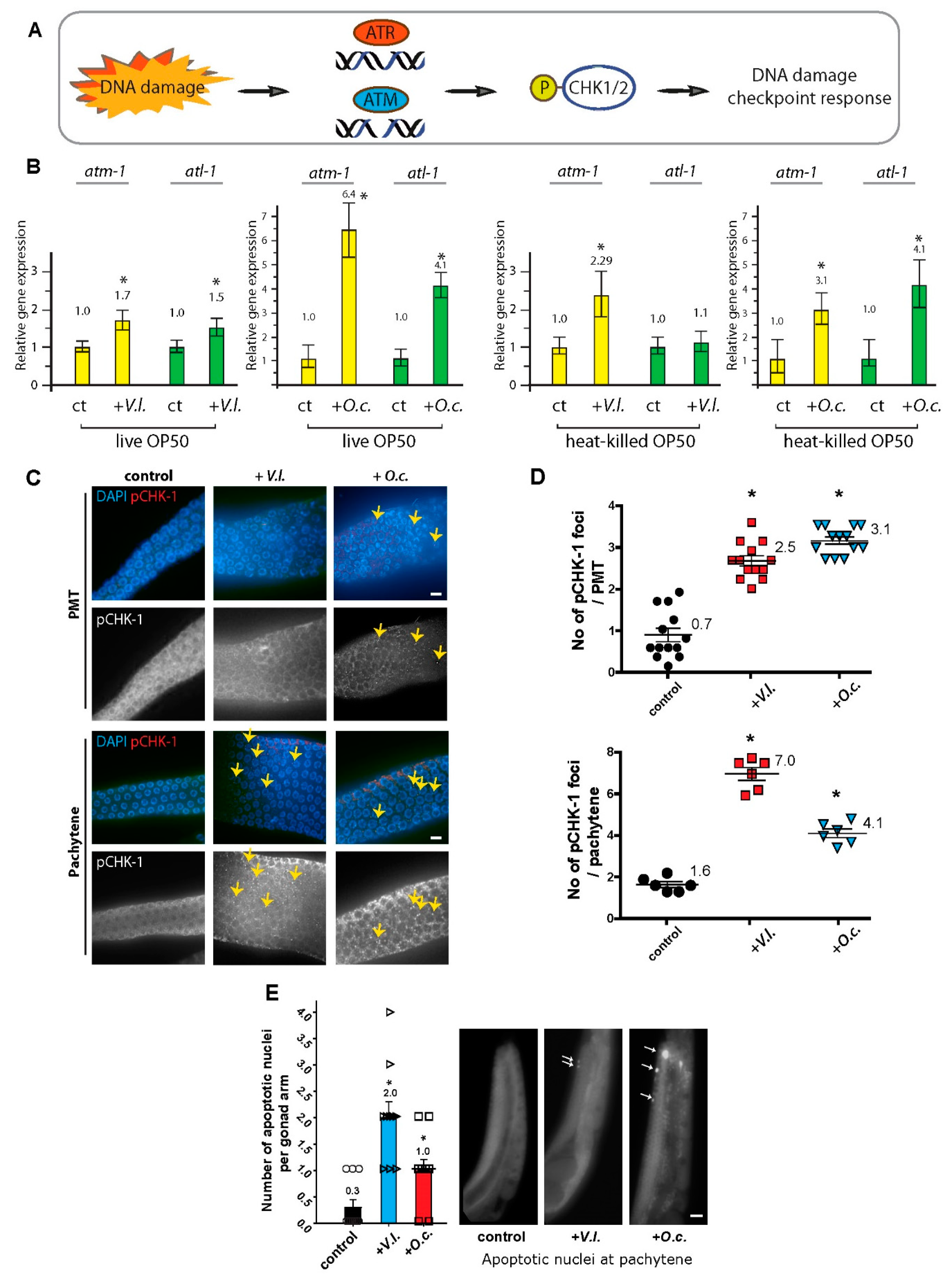 Preprints 92097 g003