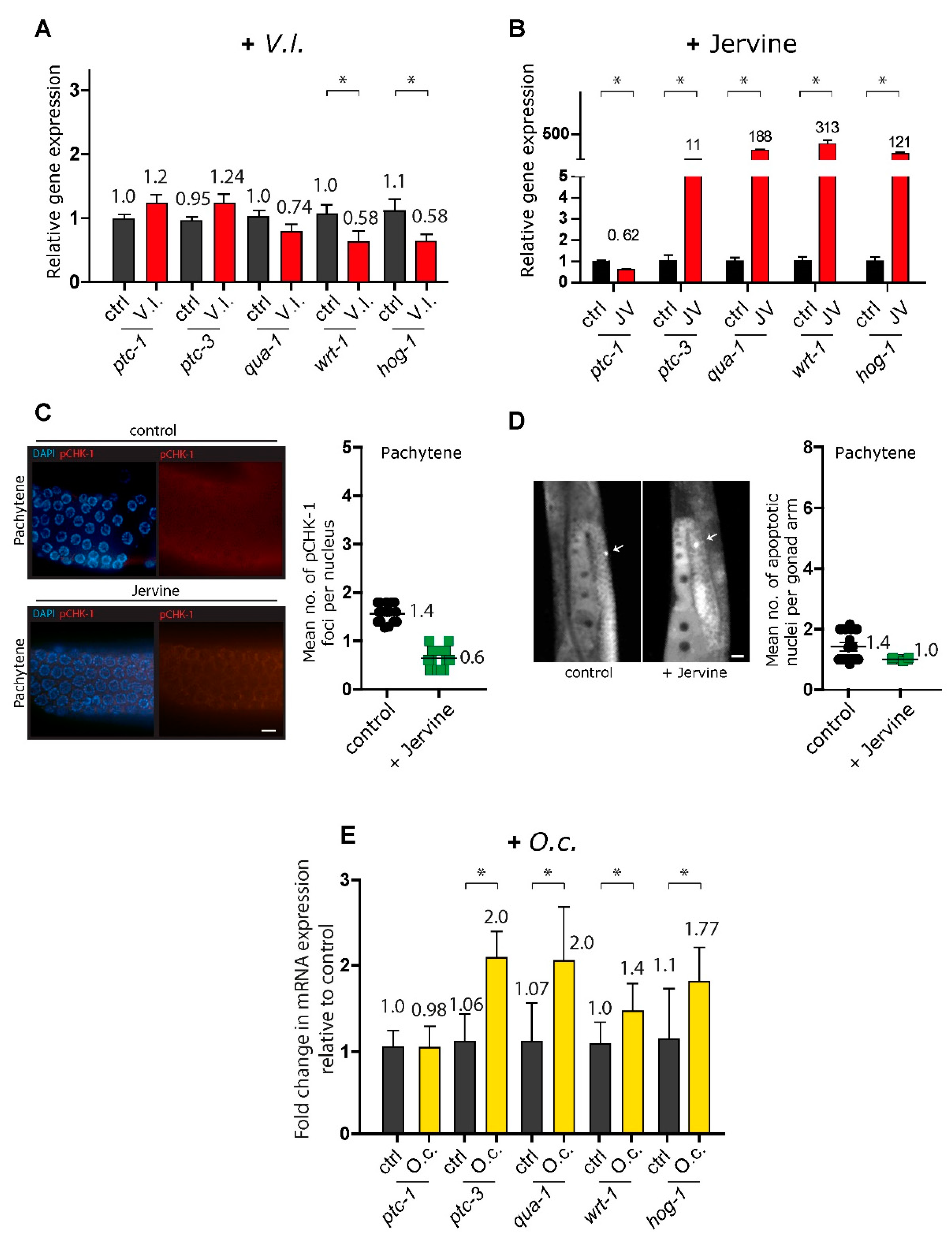 Preprints 92097 g005