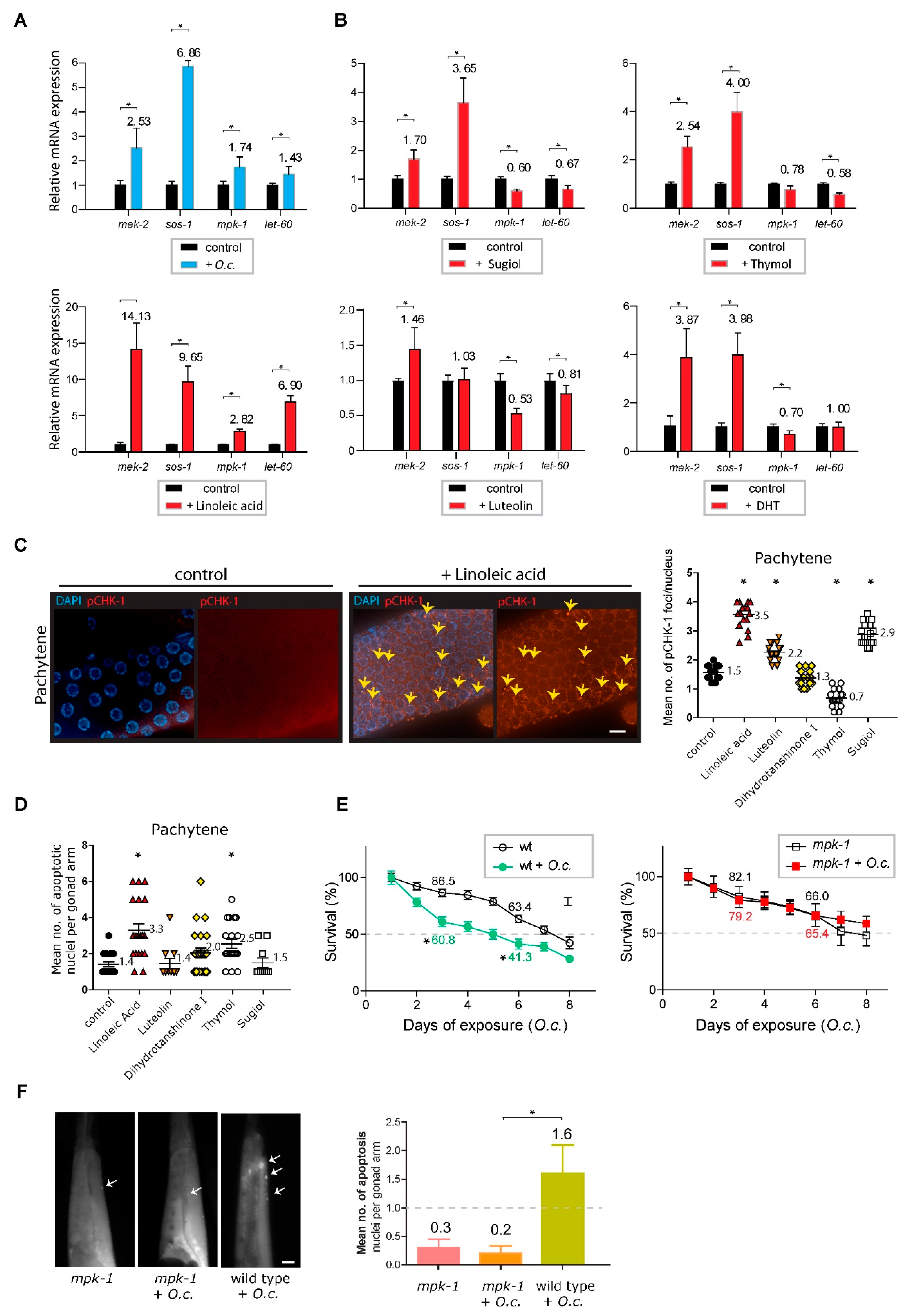 Preprints 92097 g006