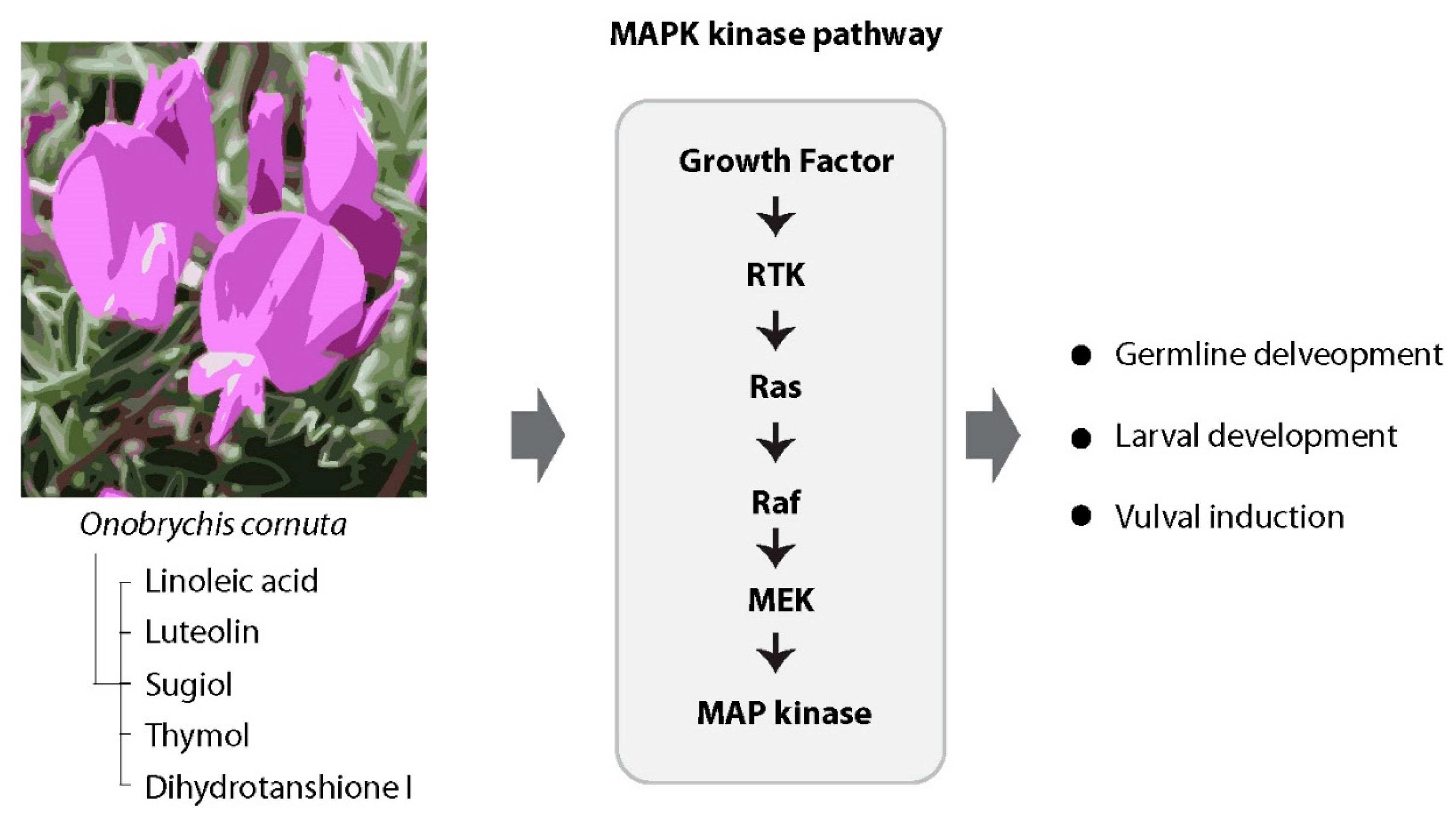 Preprints 92097 g007