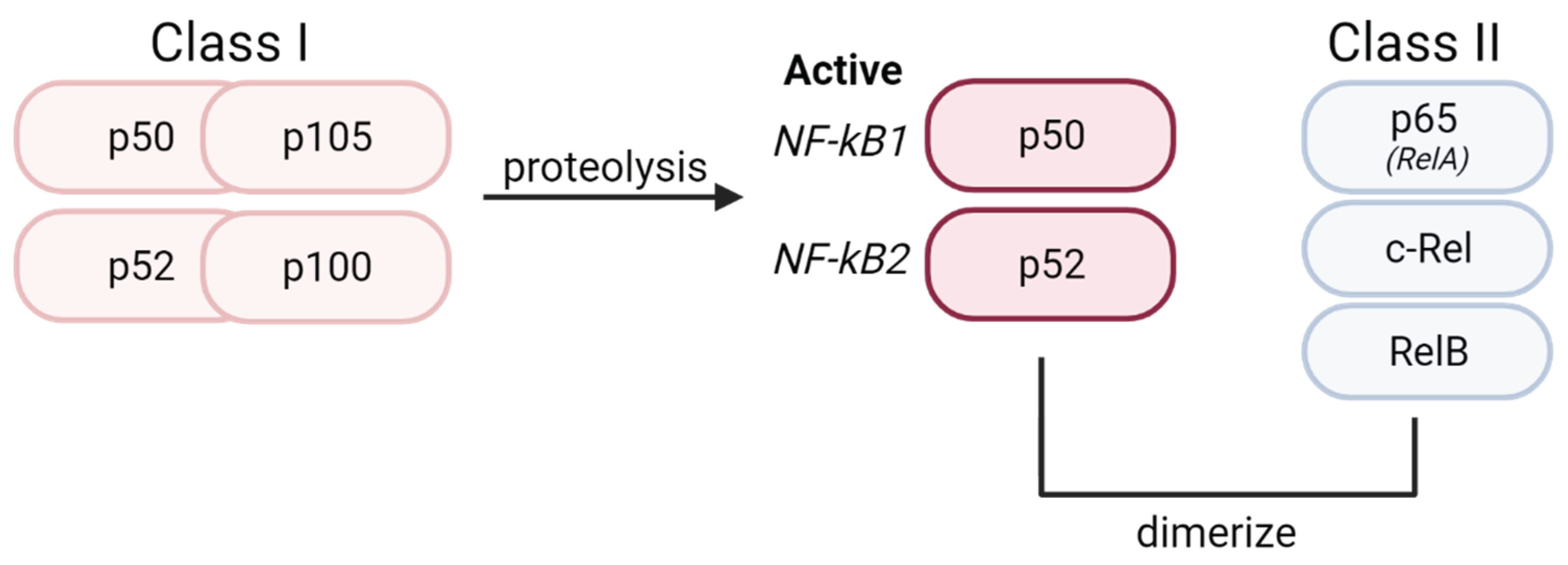 Preprints 97845 g001