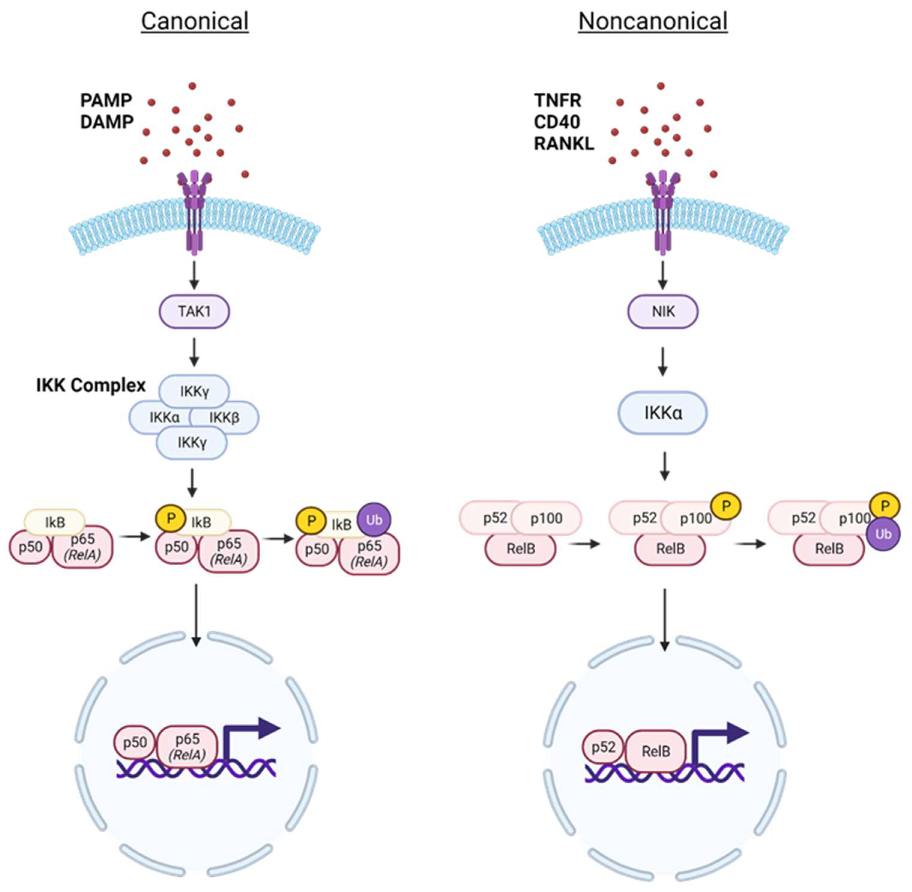 Preprints 97845 g002