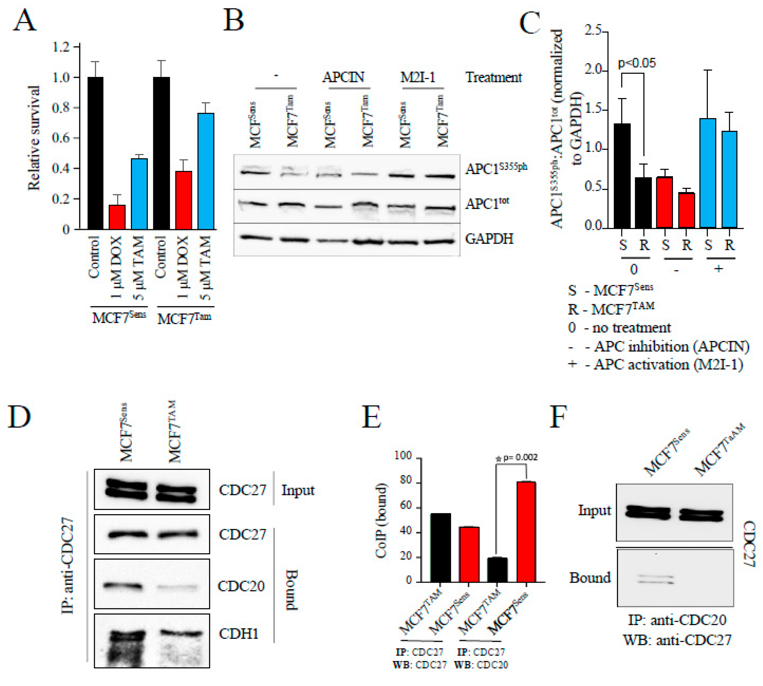 Preprints 102450 g001