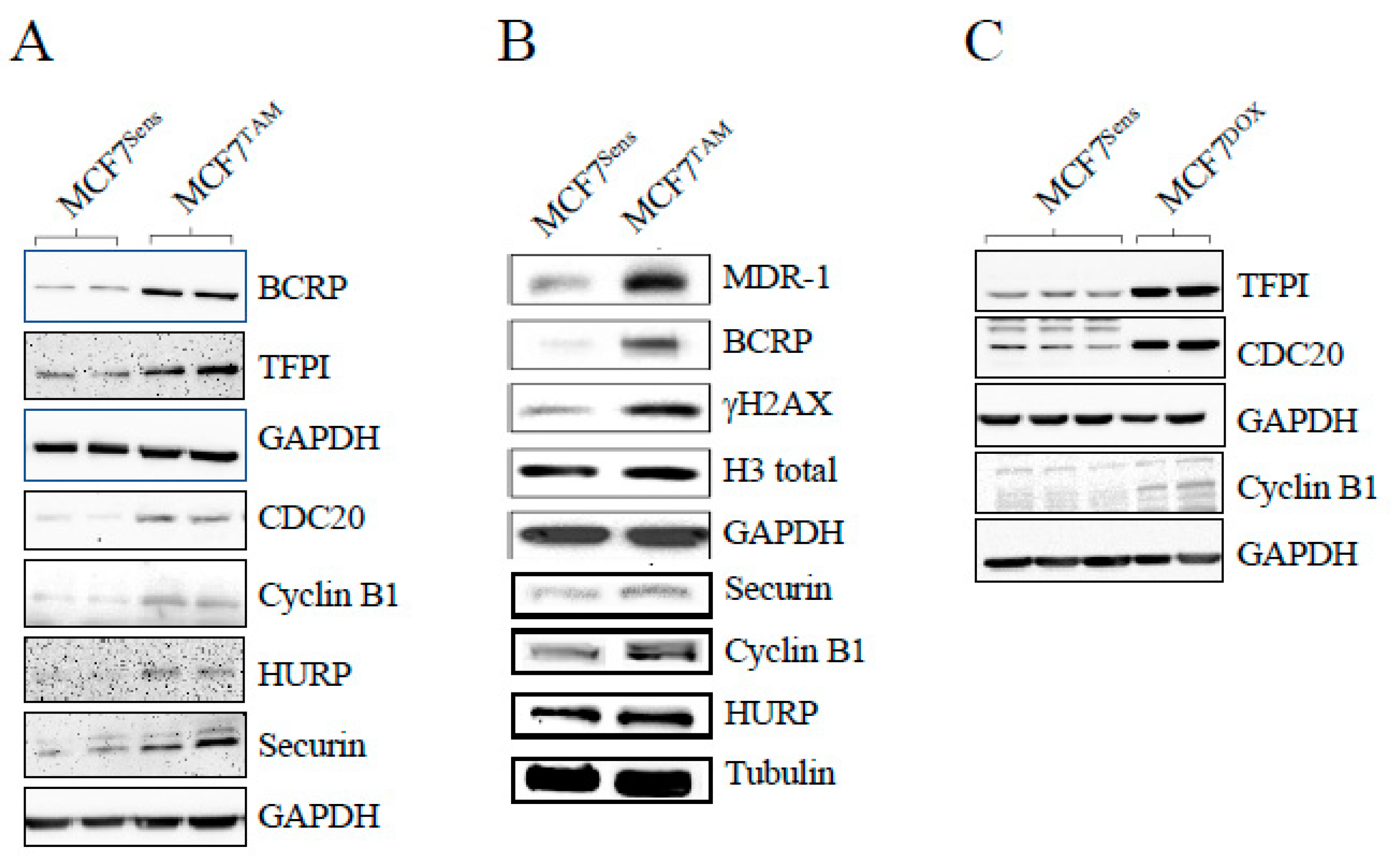 Preprints 102450 g002