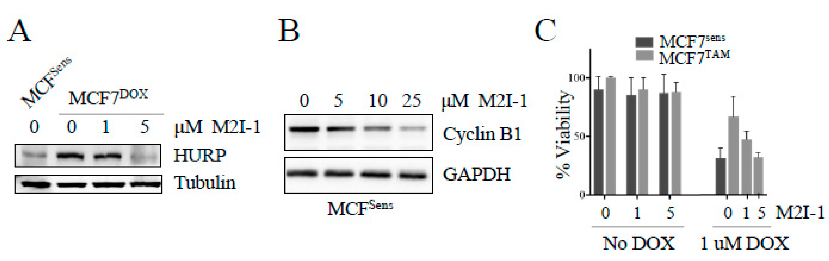 Preprints 102450 g003