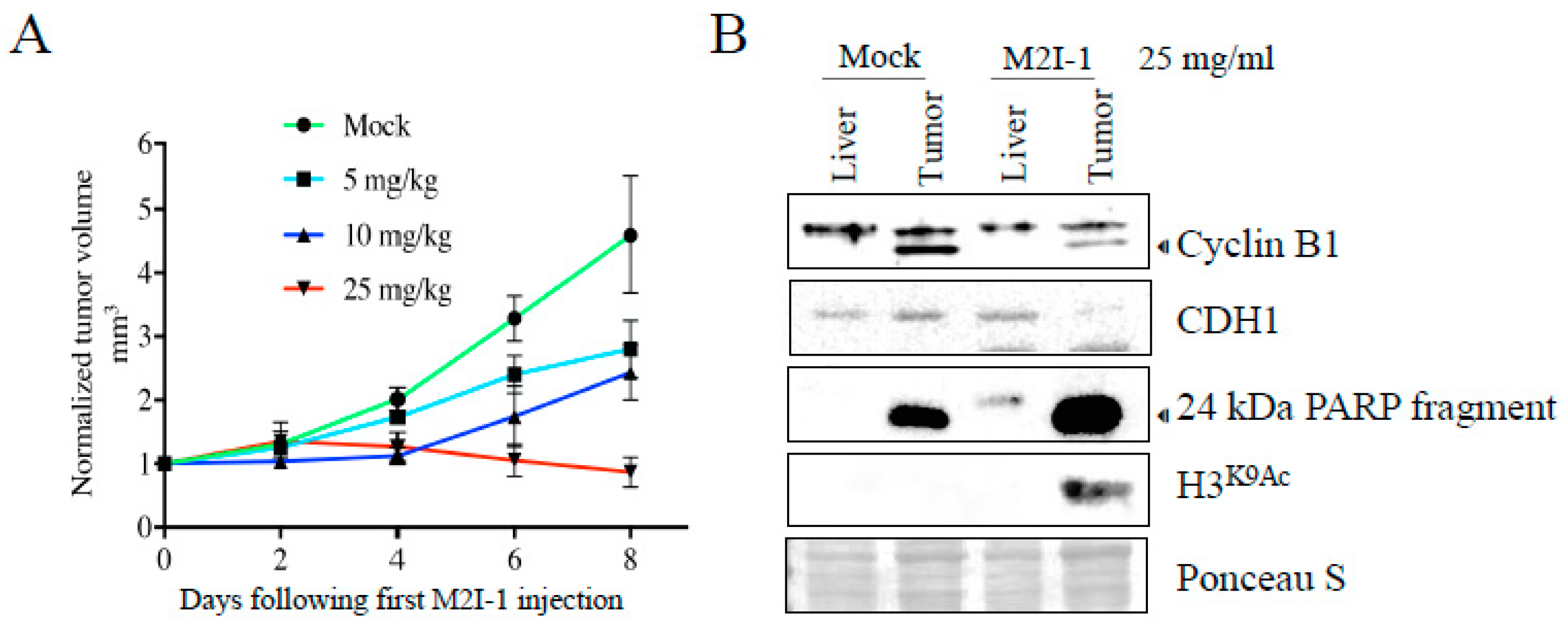 Preprints 102450 g004