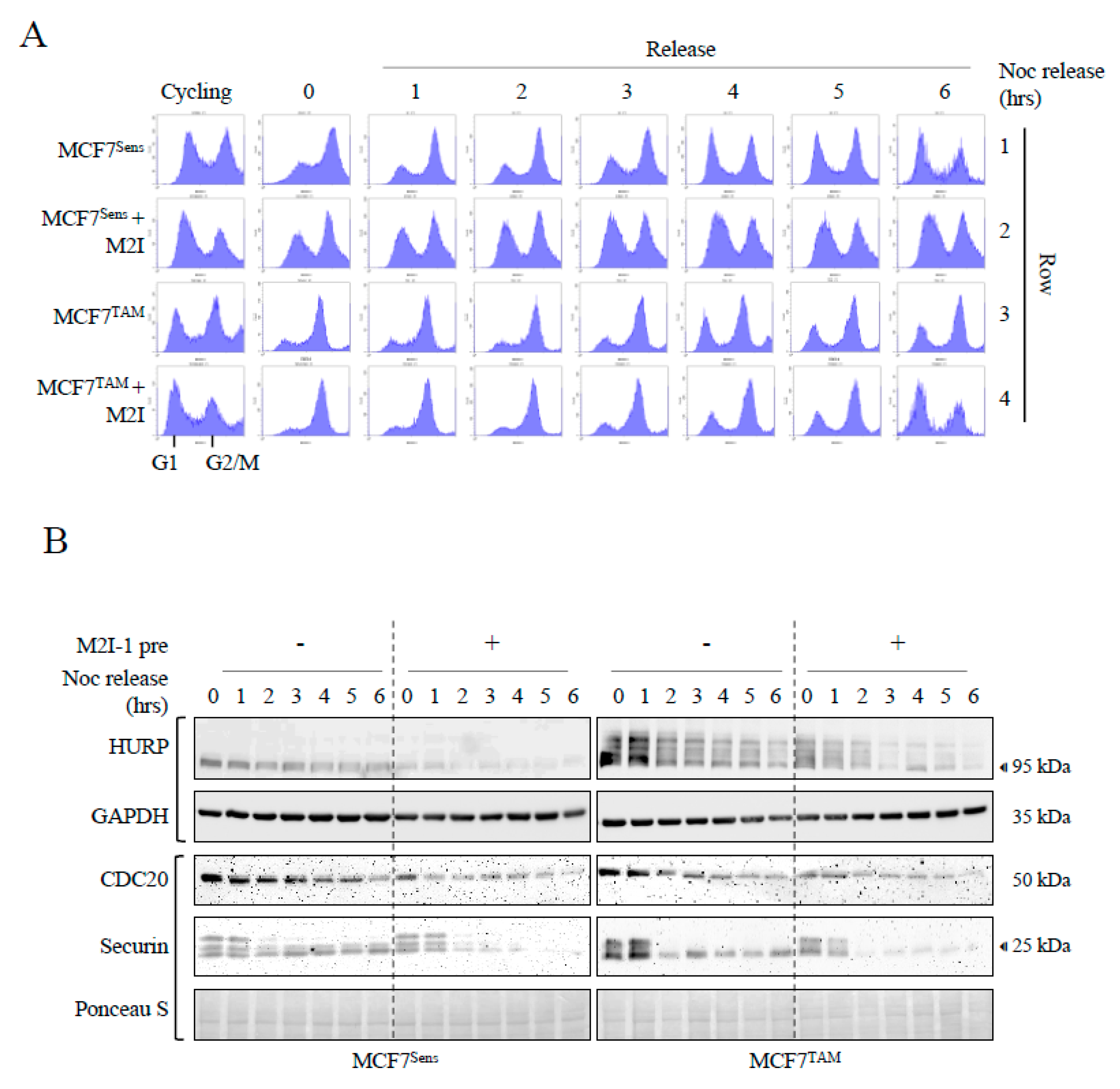 Preprints 102450 g006