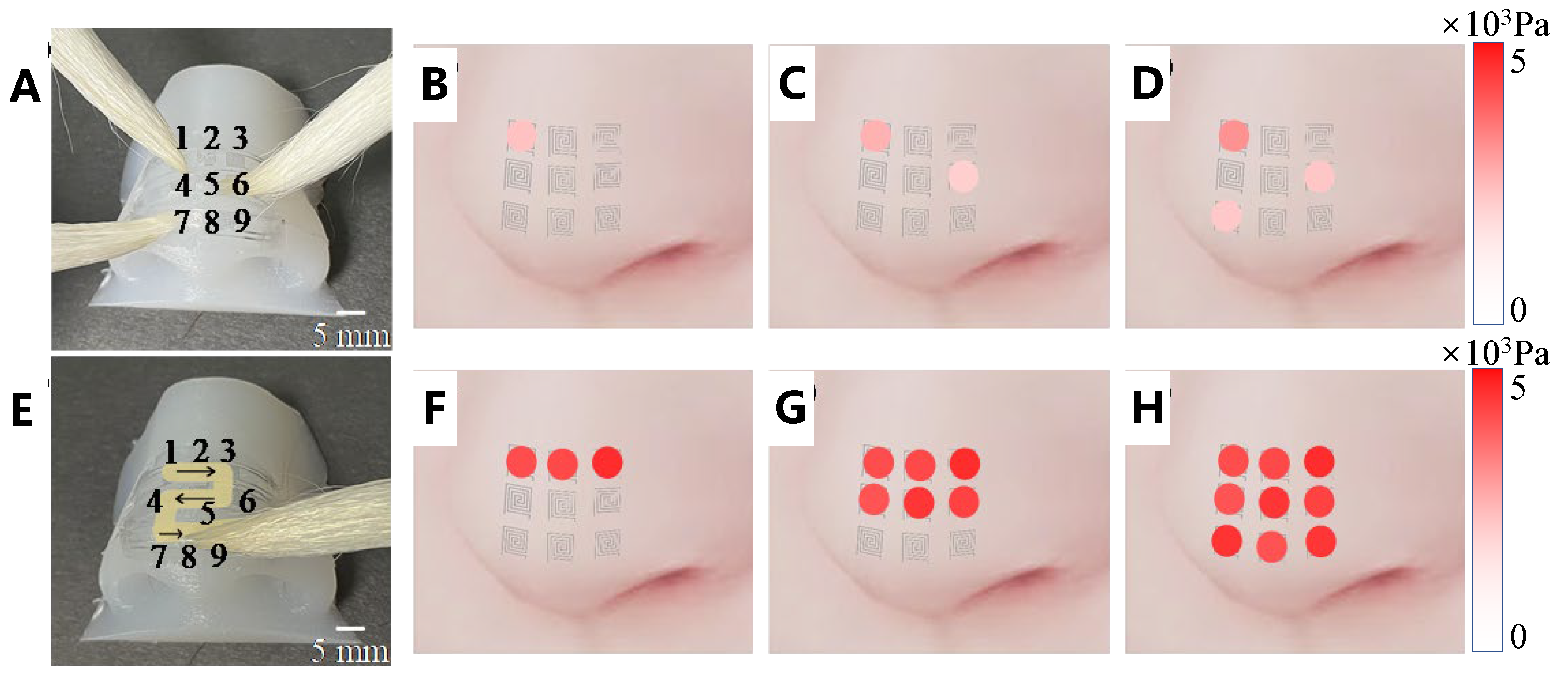 Preprints 111037 g007