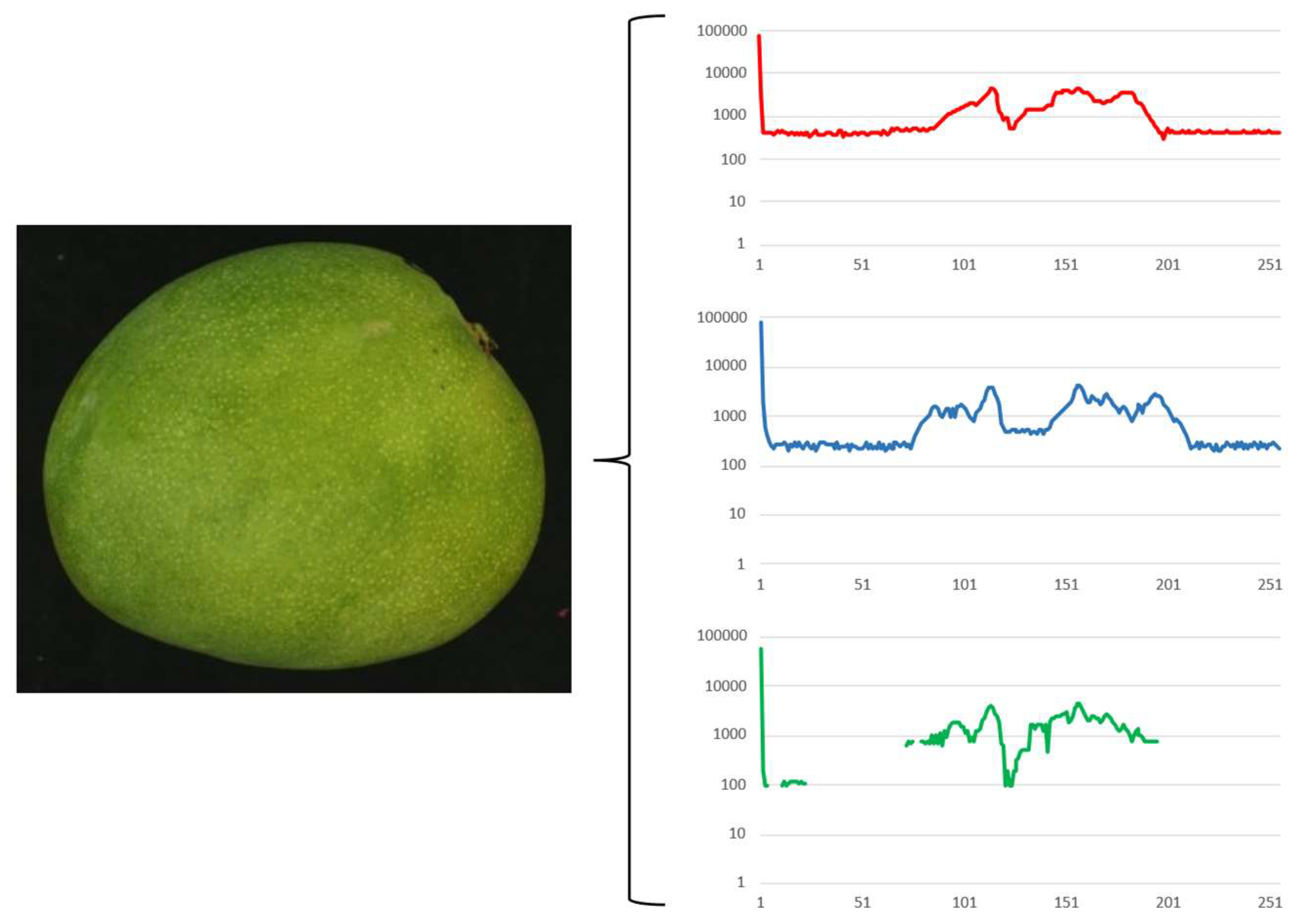 Preprints 98178 g003