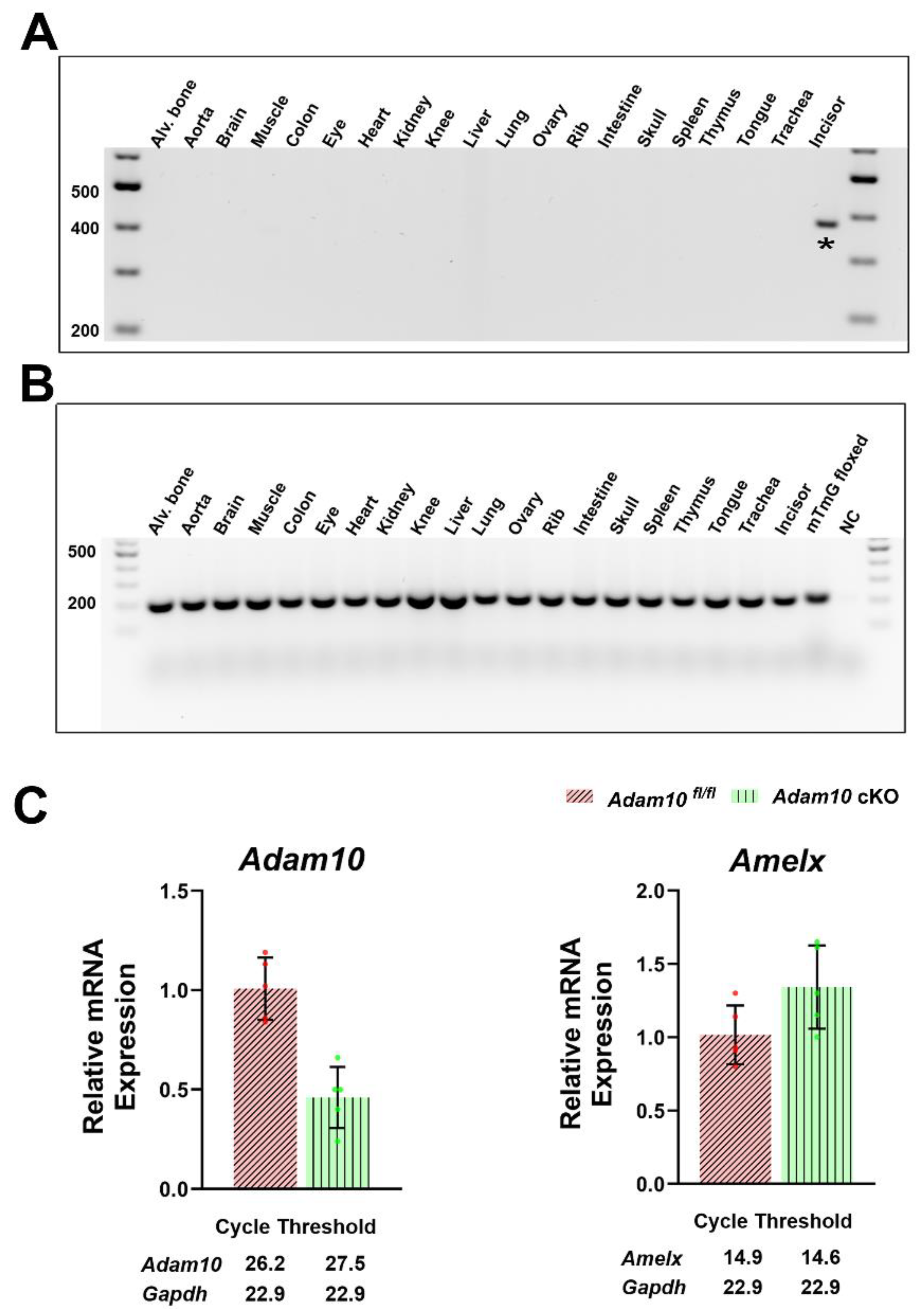 Preprints 120875 g002