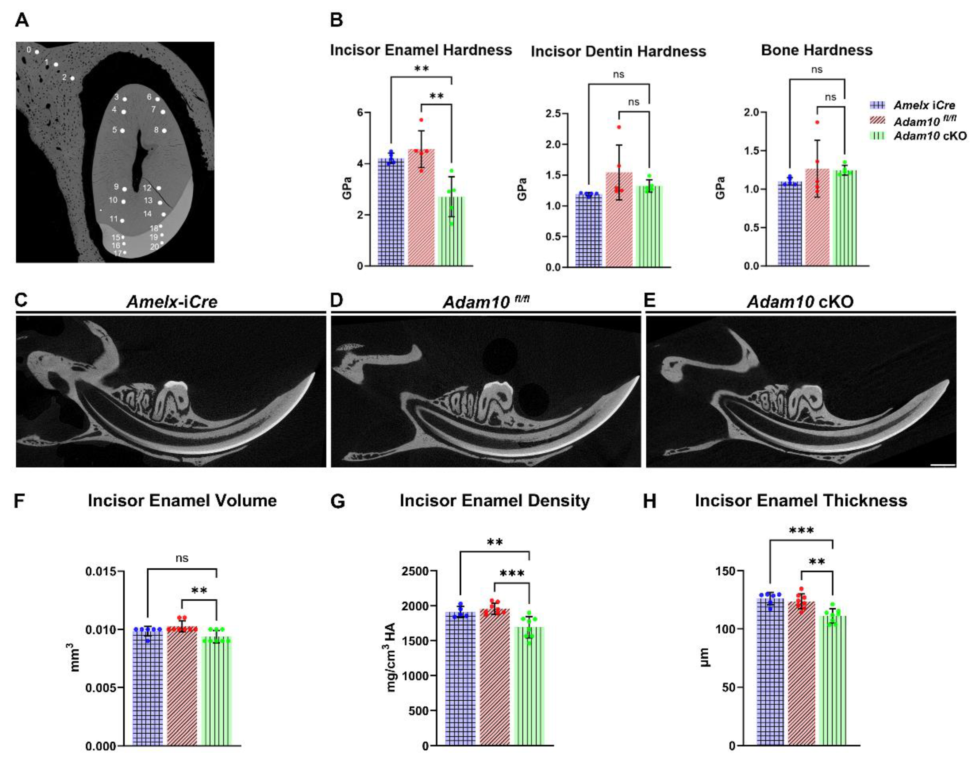 Preprints 120875 g004