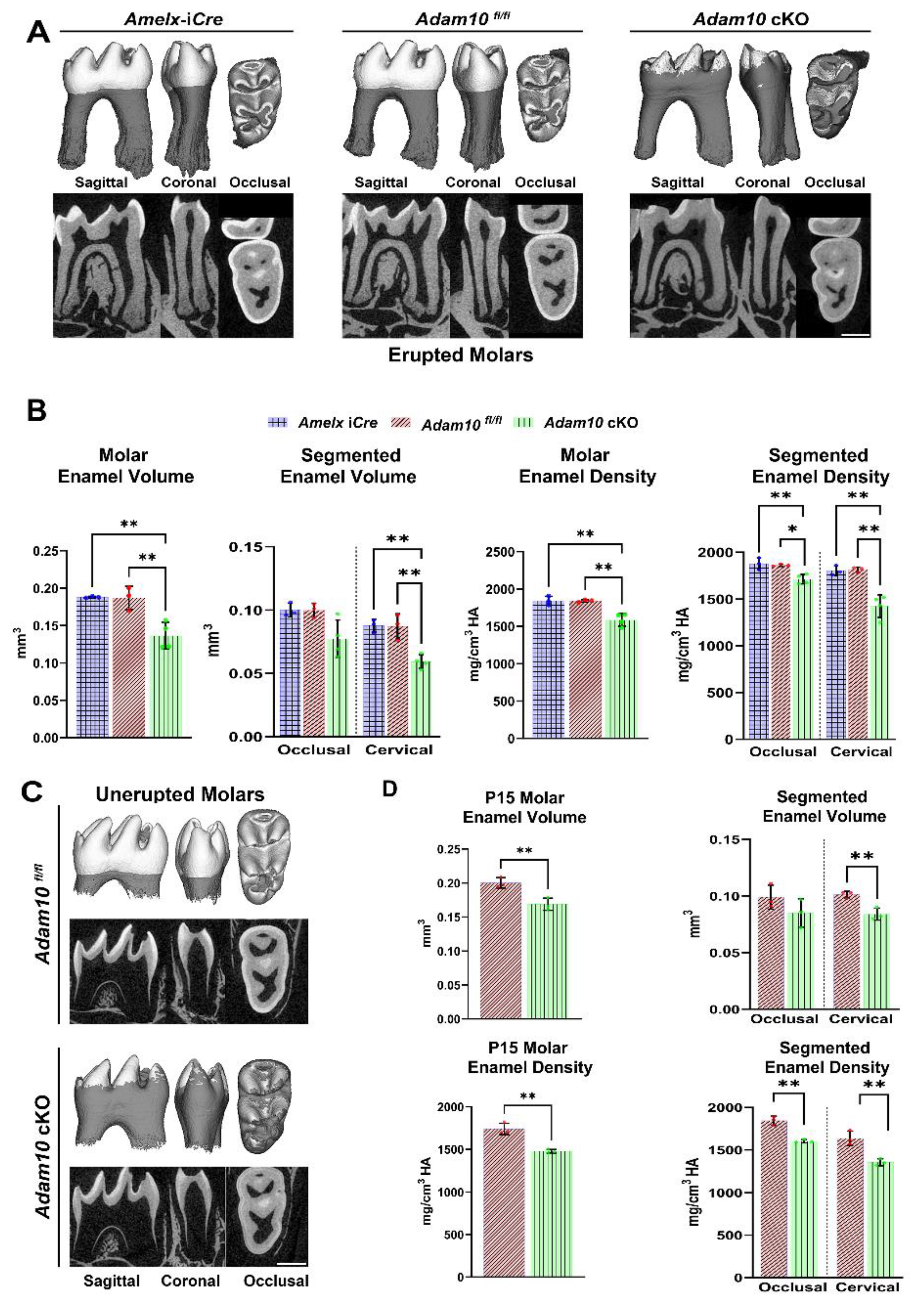 Preprints 120875 g005