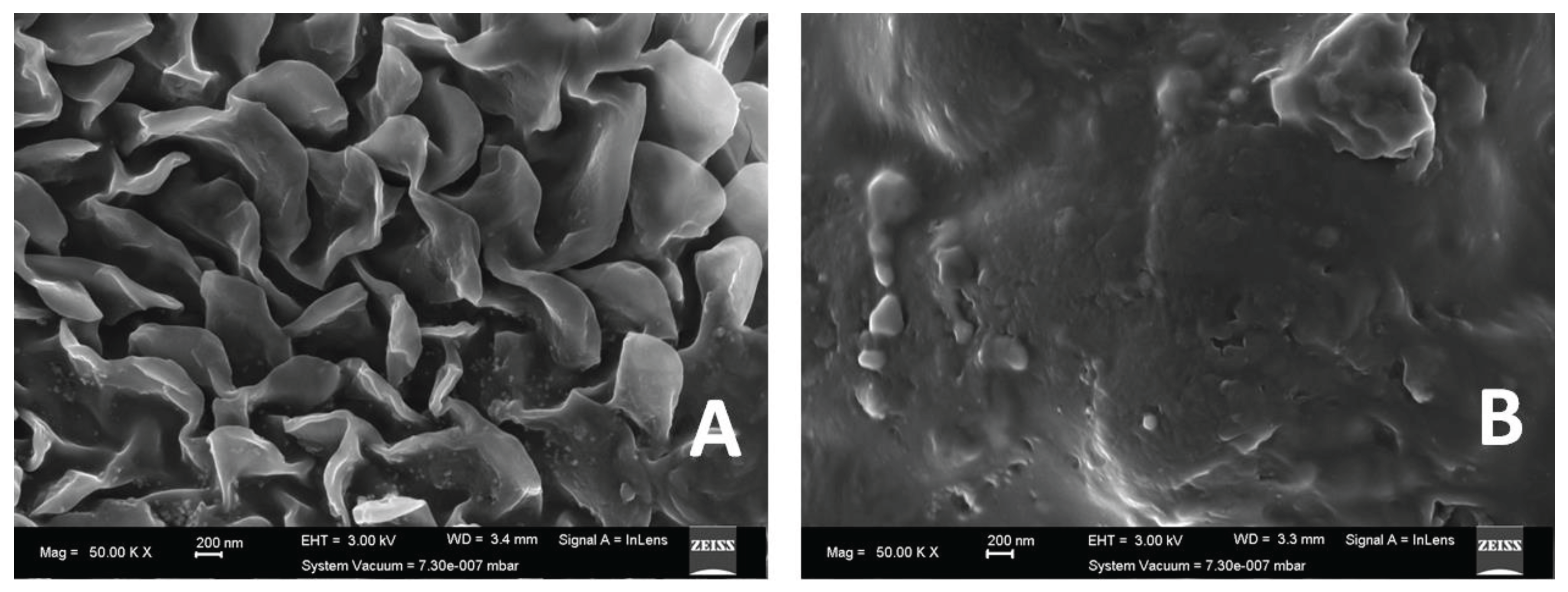 Preprints 103428 g004