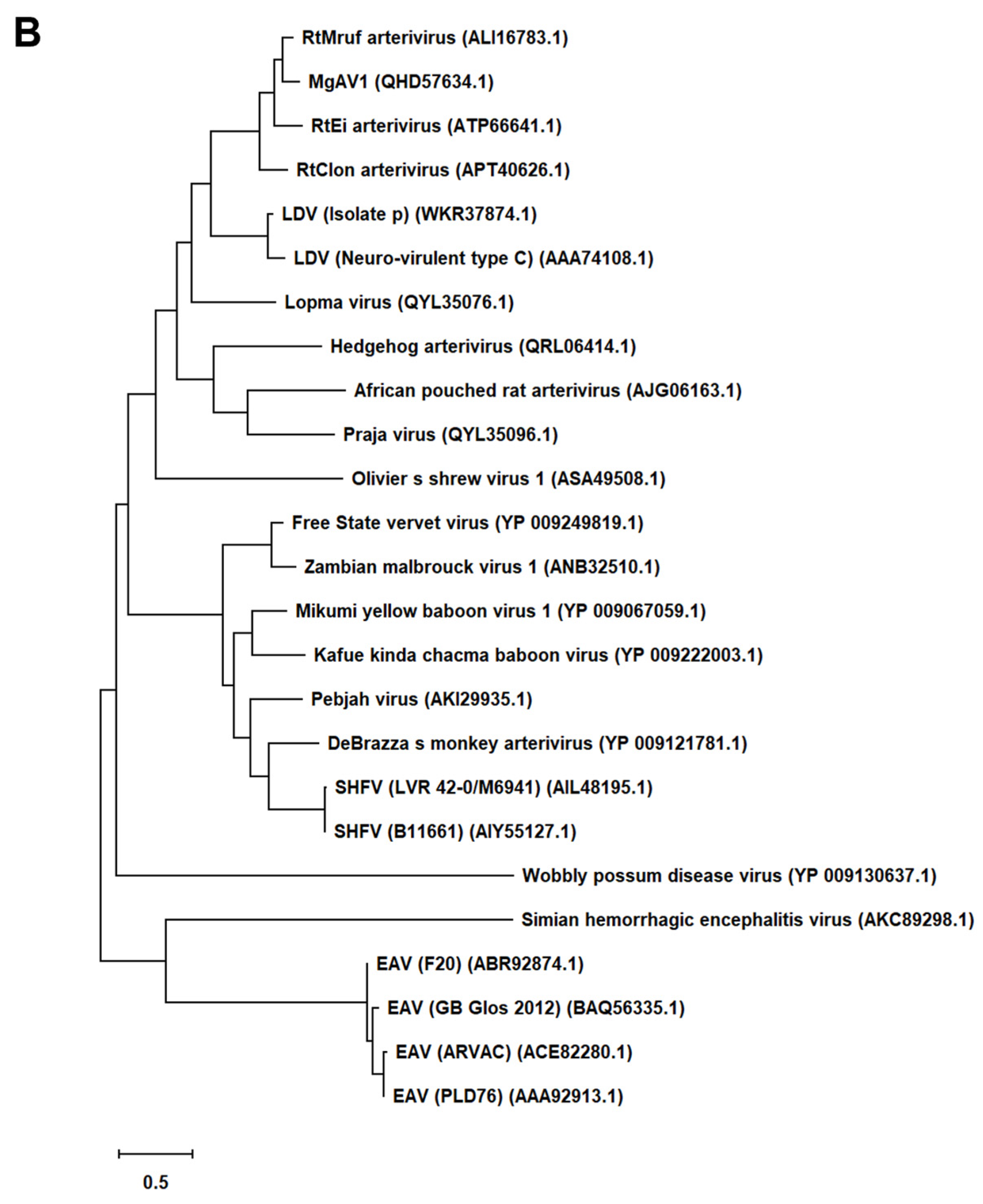 Preprints 110917 g001b