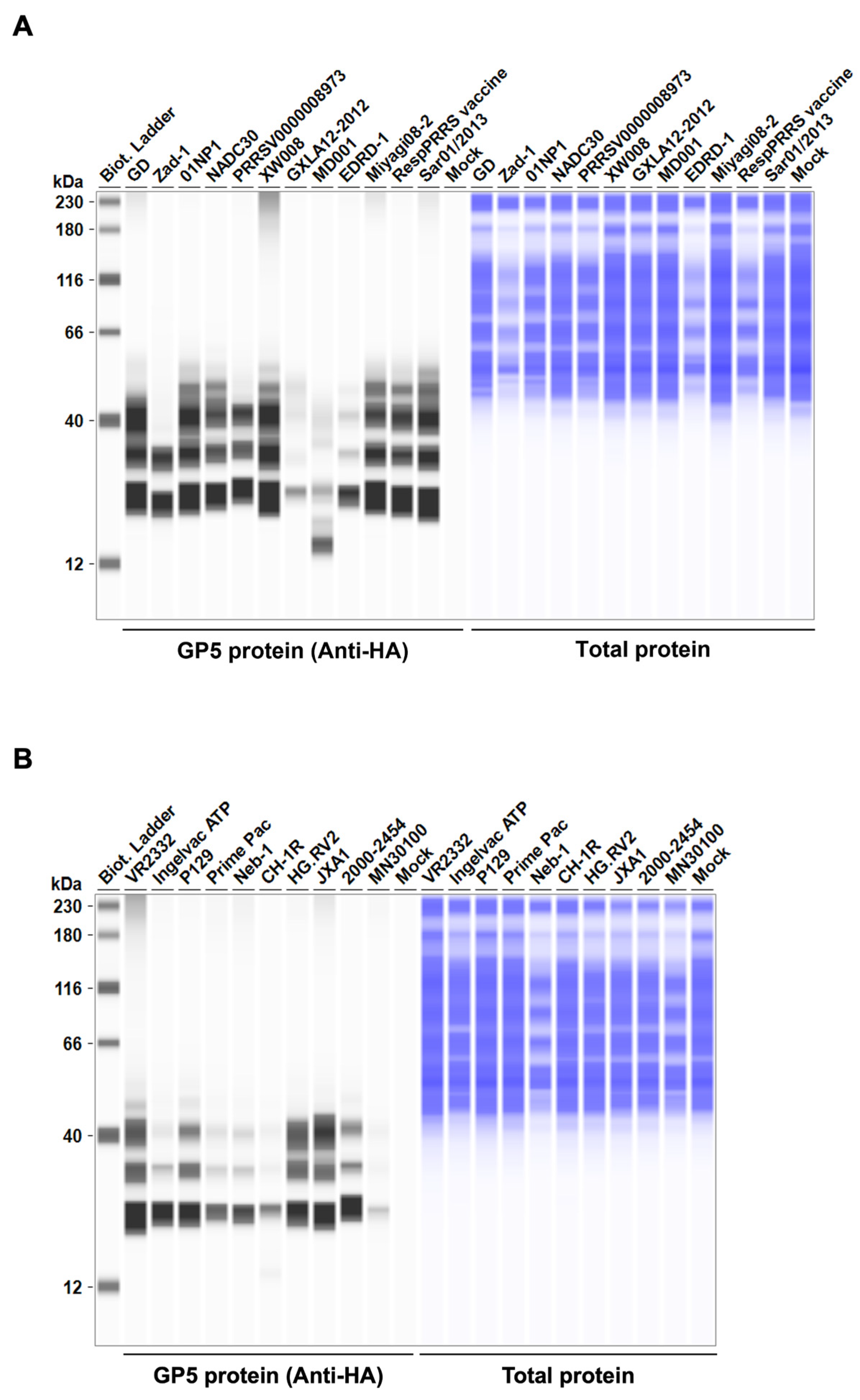 Preprints 110917 g002a