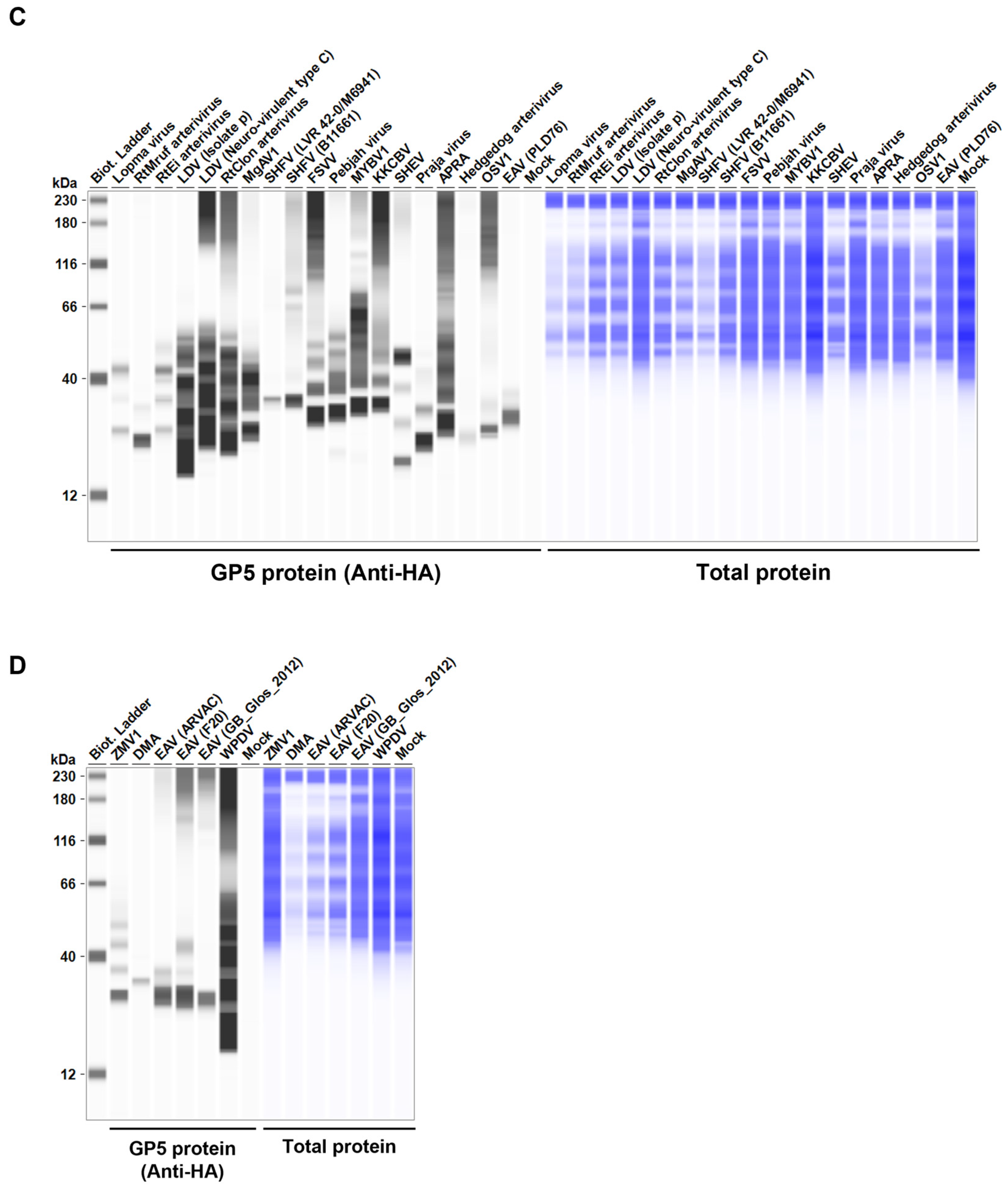 Preprints 110917 g002b