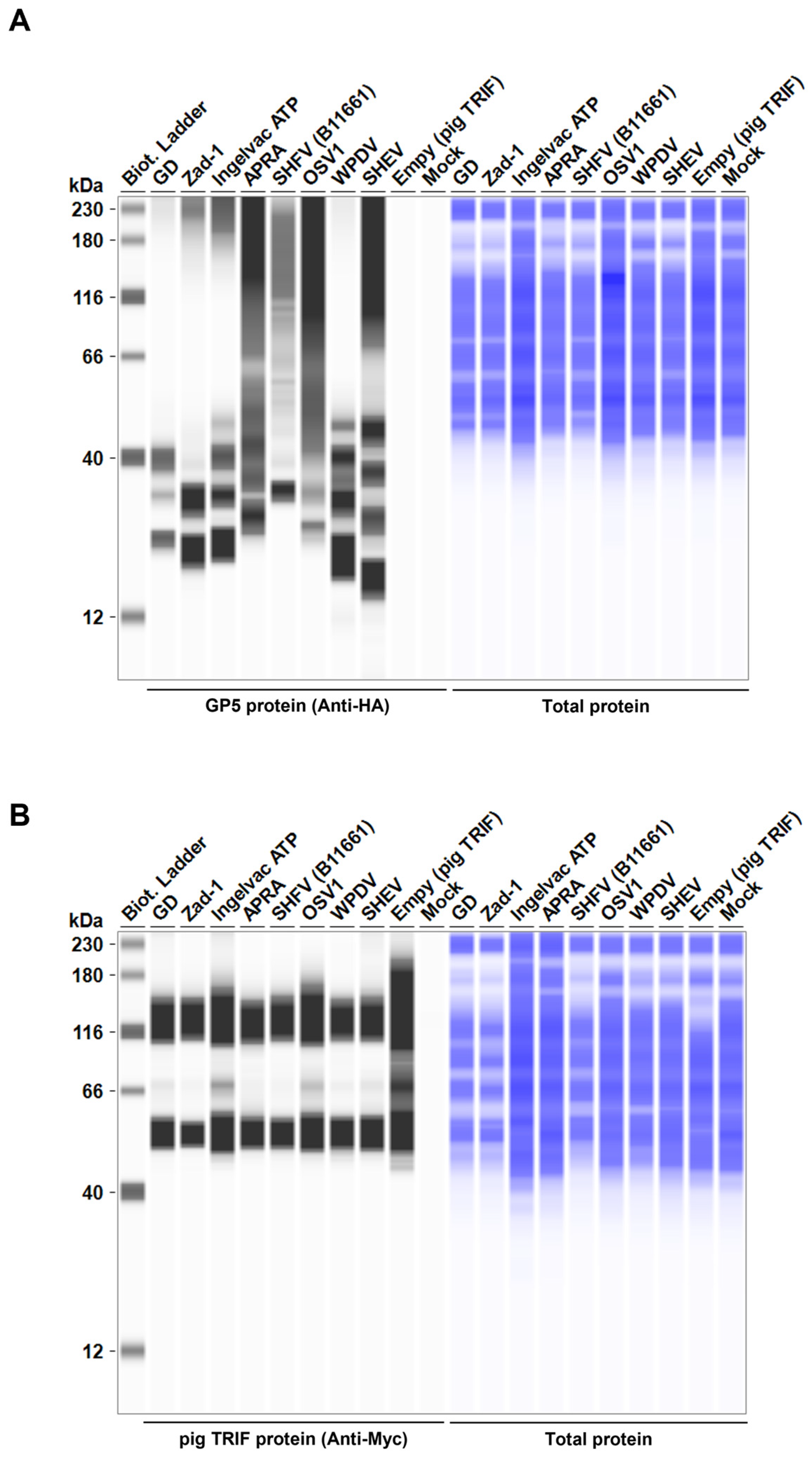 Preprints 110917 g007a