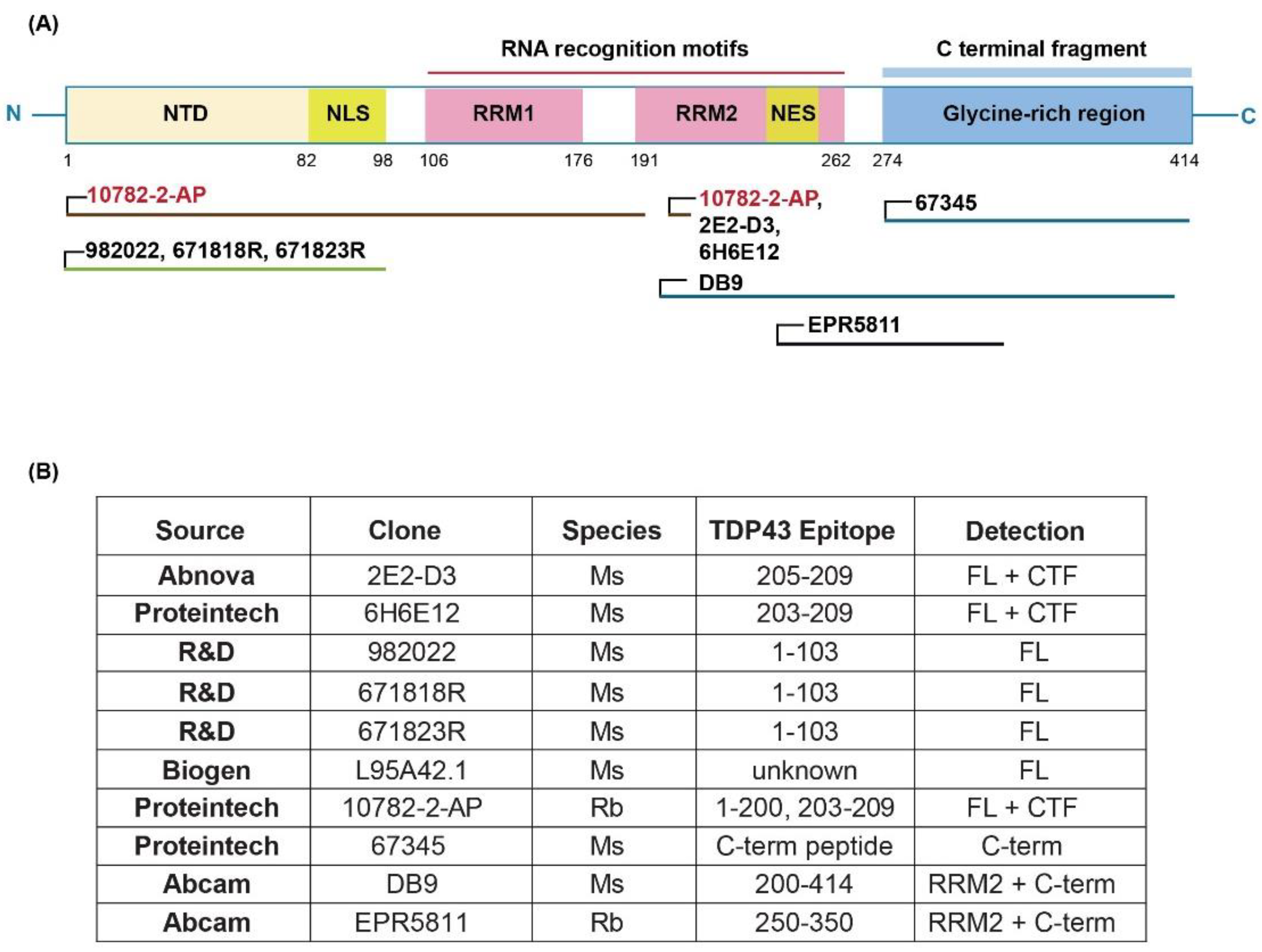 Preprints 117965 g001