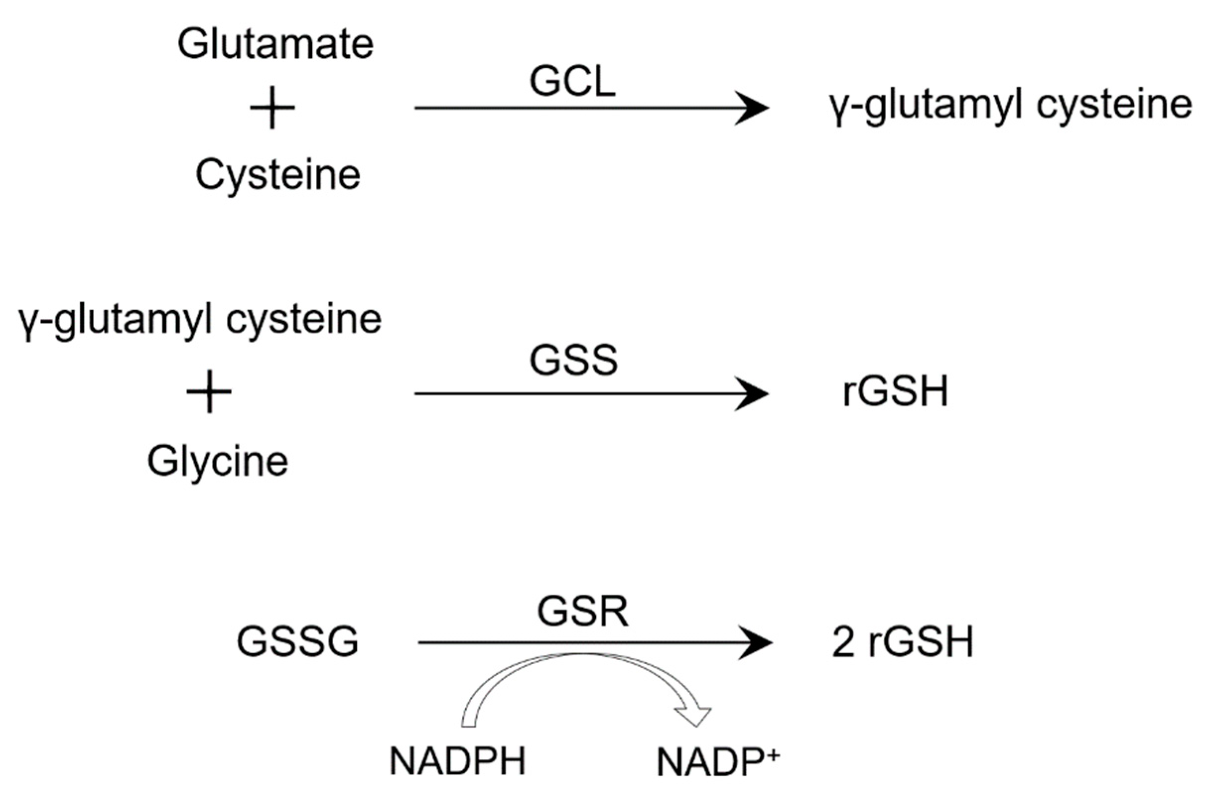 Preprints 70744 g001