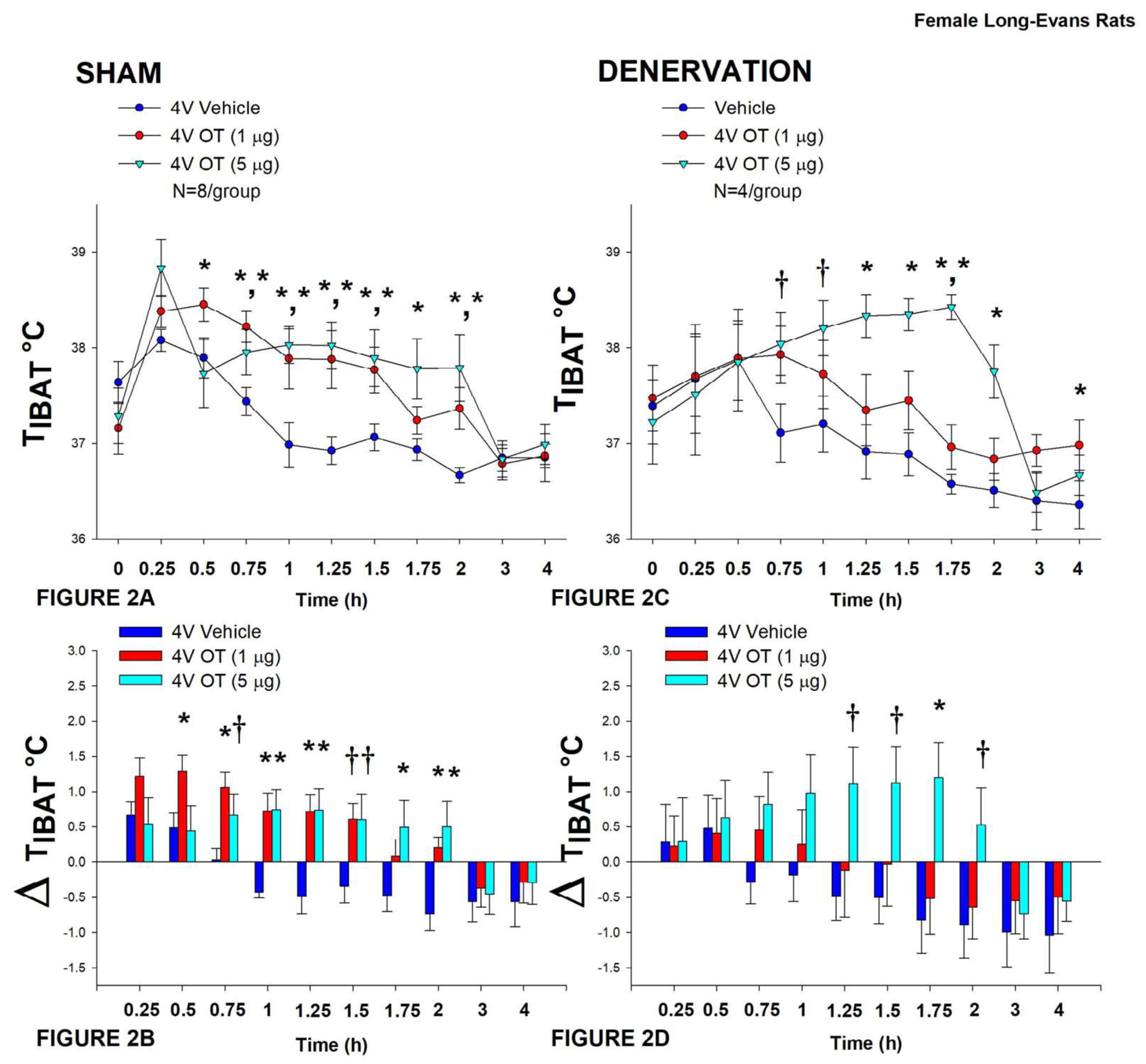 Preprints 117035 g002