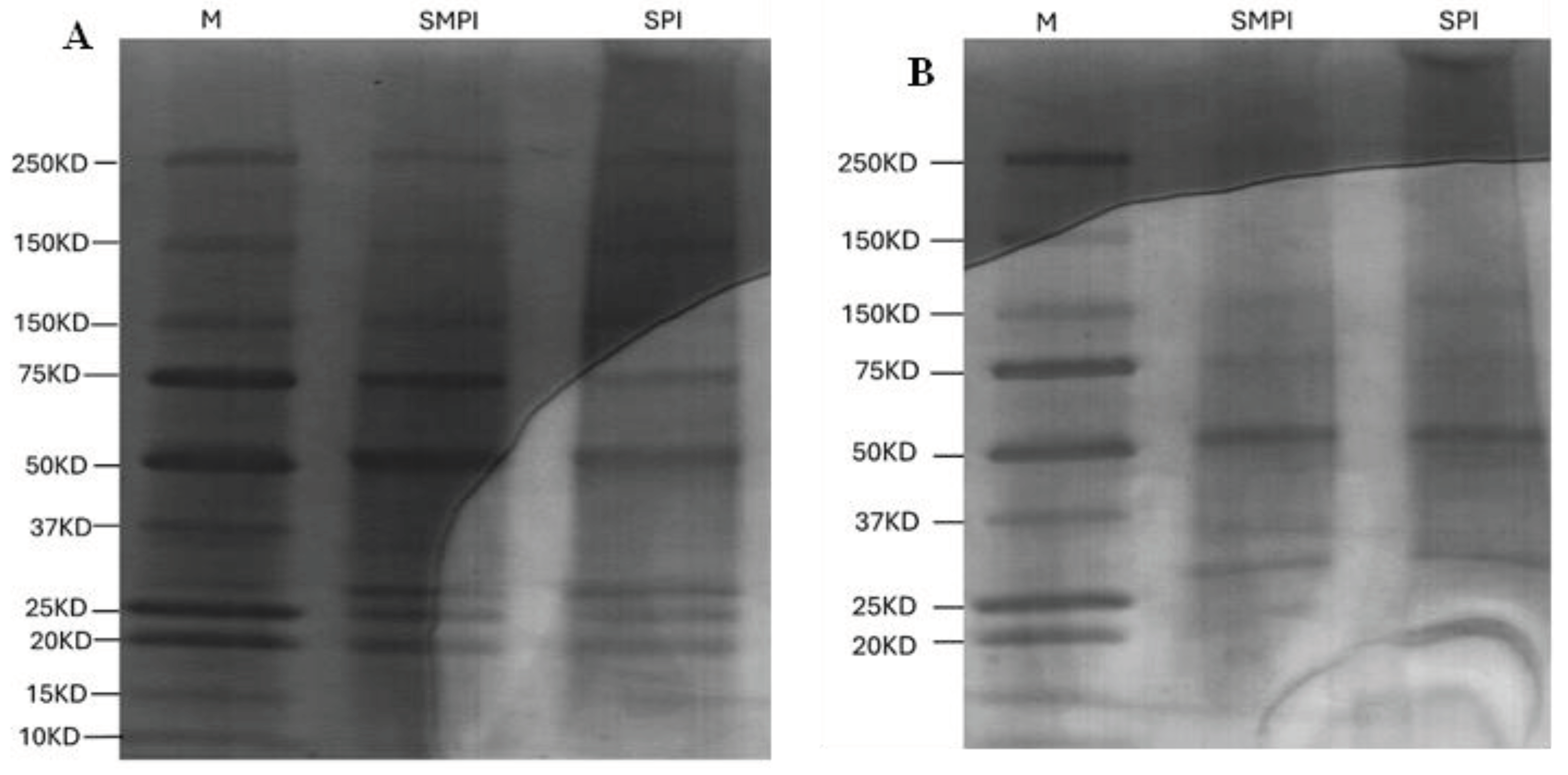 Preprints 101854 g005