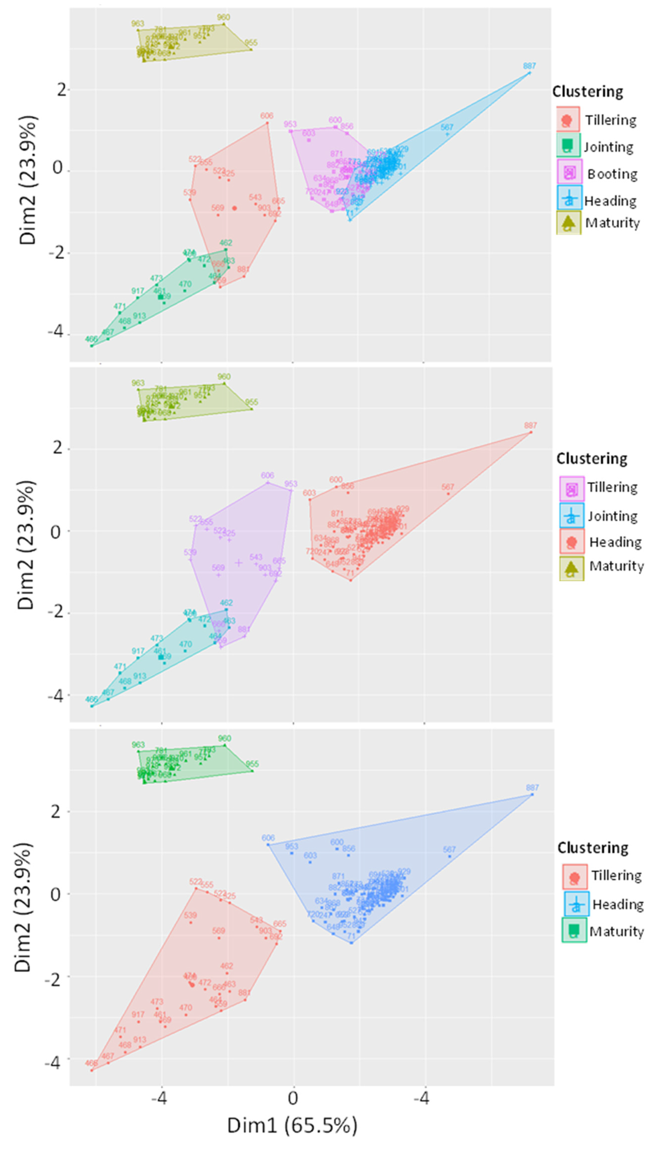 Preprints 76148 g006