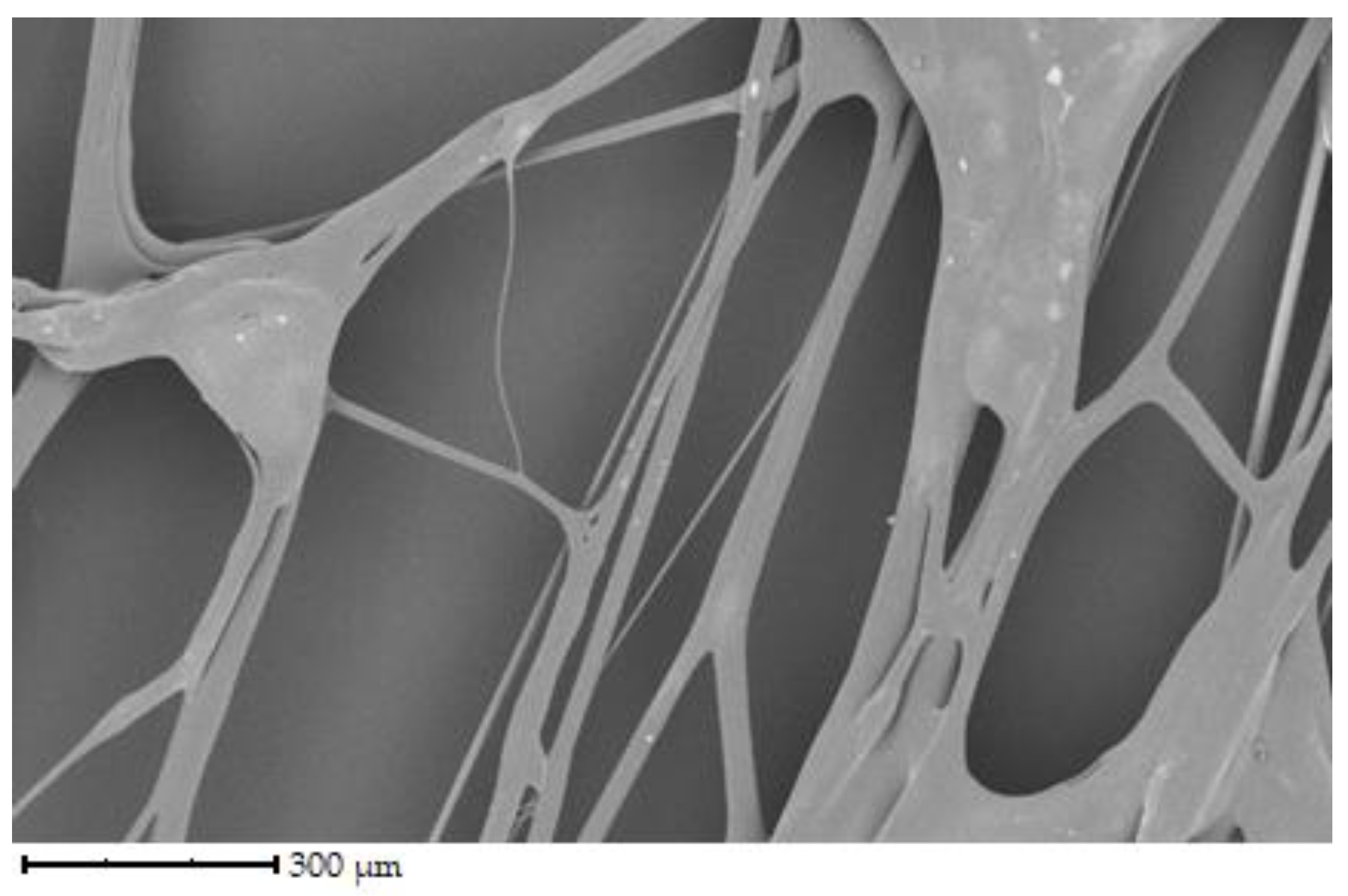 Preprints 96386 g003