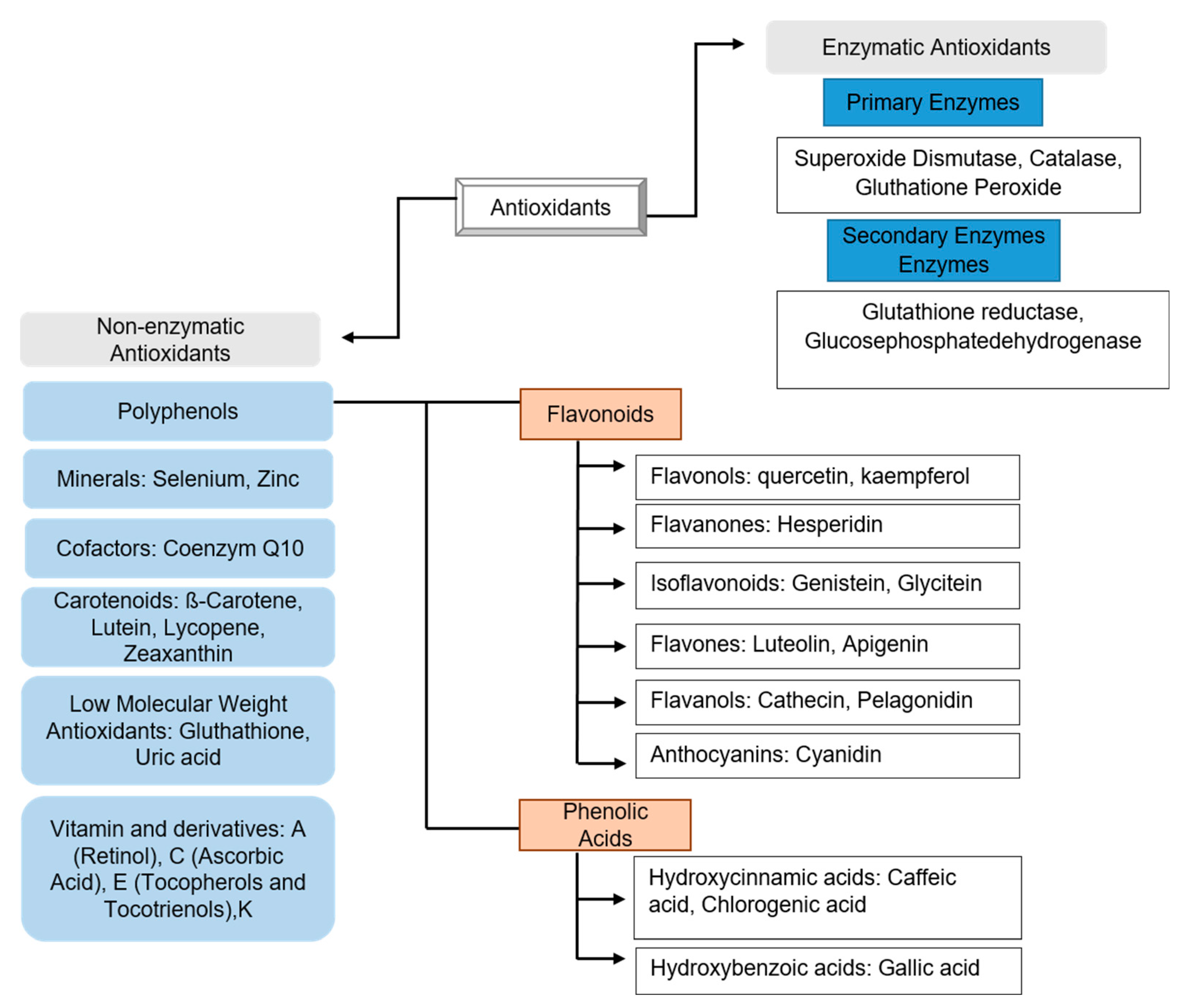 Preprints 80404 g001