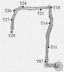 Preprints 107177 i001