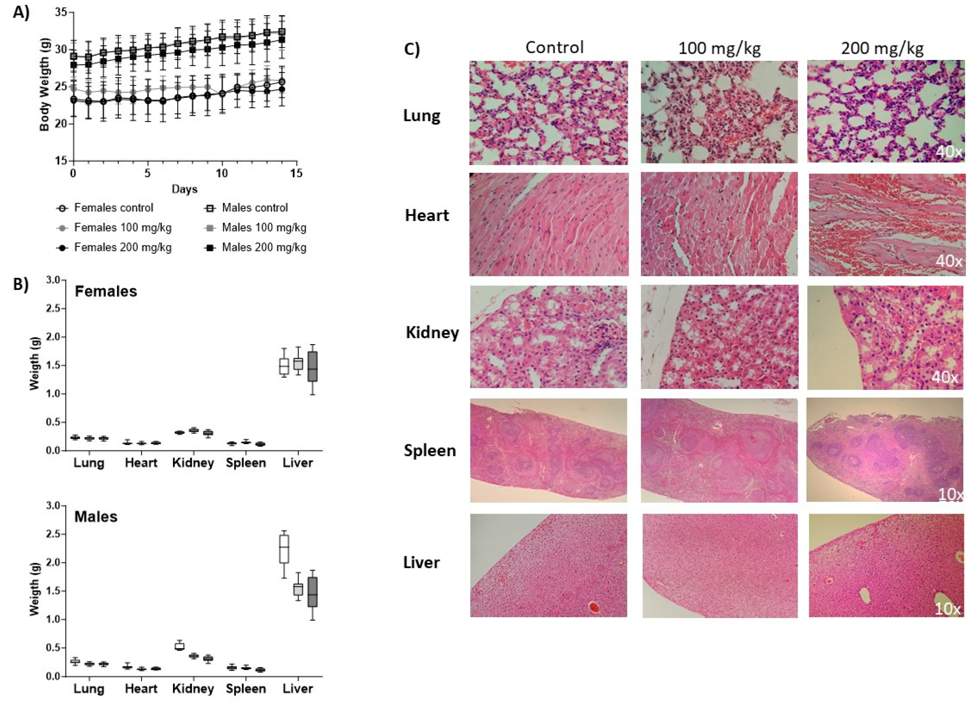 Preprints 80900 g003